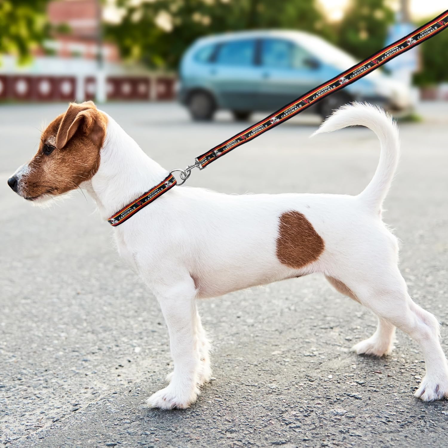 New & Improved NFL PET Leash, Small, Arizona Cardinals Dog Leash, Football Team Leash for Dogs & Cats. The Newest Shiny & Colorful Dog & Cat Leash with Embroidered Team Name/Logo Licensed by The NFL