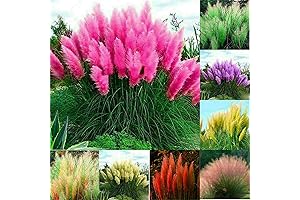 Tropical Pampas Grass Decor for Gardens