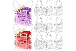 BadenBach Clear Favor Goodie Bags for Birthday Party Wedding Gift