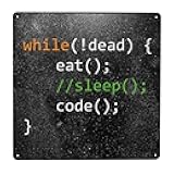 Funny Computer Science Programmer Eat Sleep Code Gifts Metal Vintage Tin Sign Lady Gift Woman Gift Funny Retro Wall Art Sign Retro Sign Vintage Decor For Home Office 12 X 12inch
