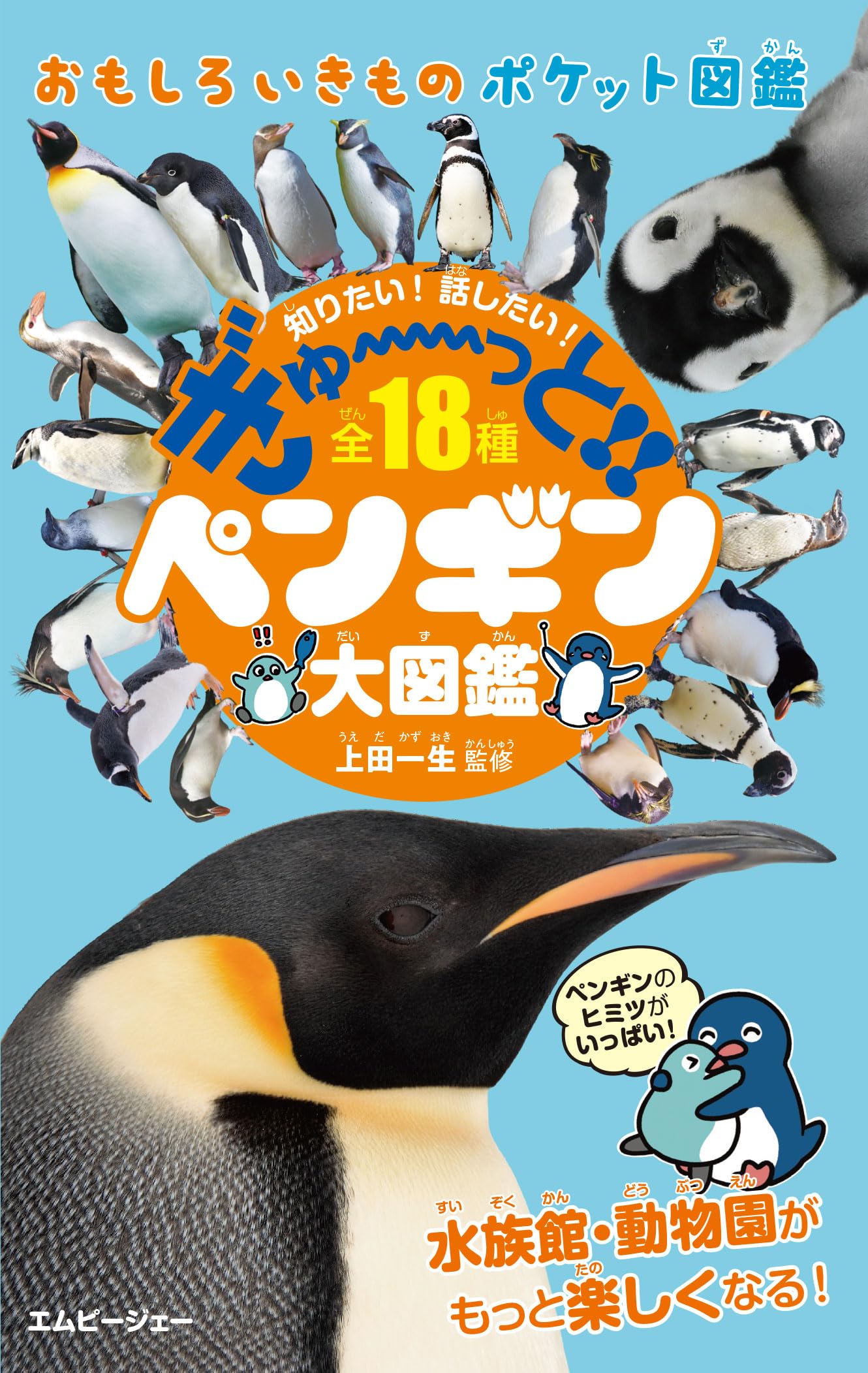 本物のペンギンとぺんぎん? 81BpfbF6FQL.jpg