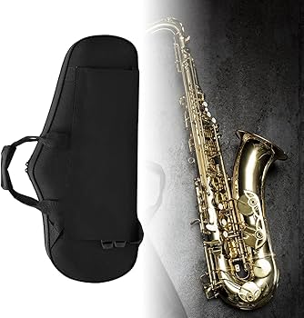 ノーブランド　アルトサックス　　ケース付き GATOR GL-ALTOSAX-R23 セミハードケース アルトサックス用