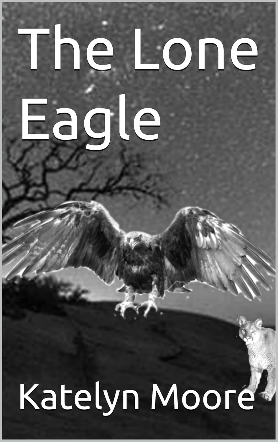 The Lone Eagle (Lone Eagle Series Book 1) Kindle edition by Moore