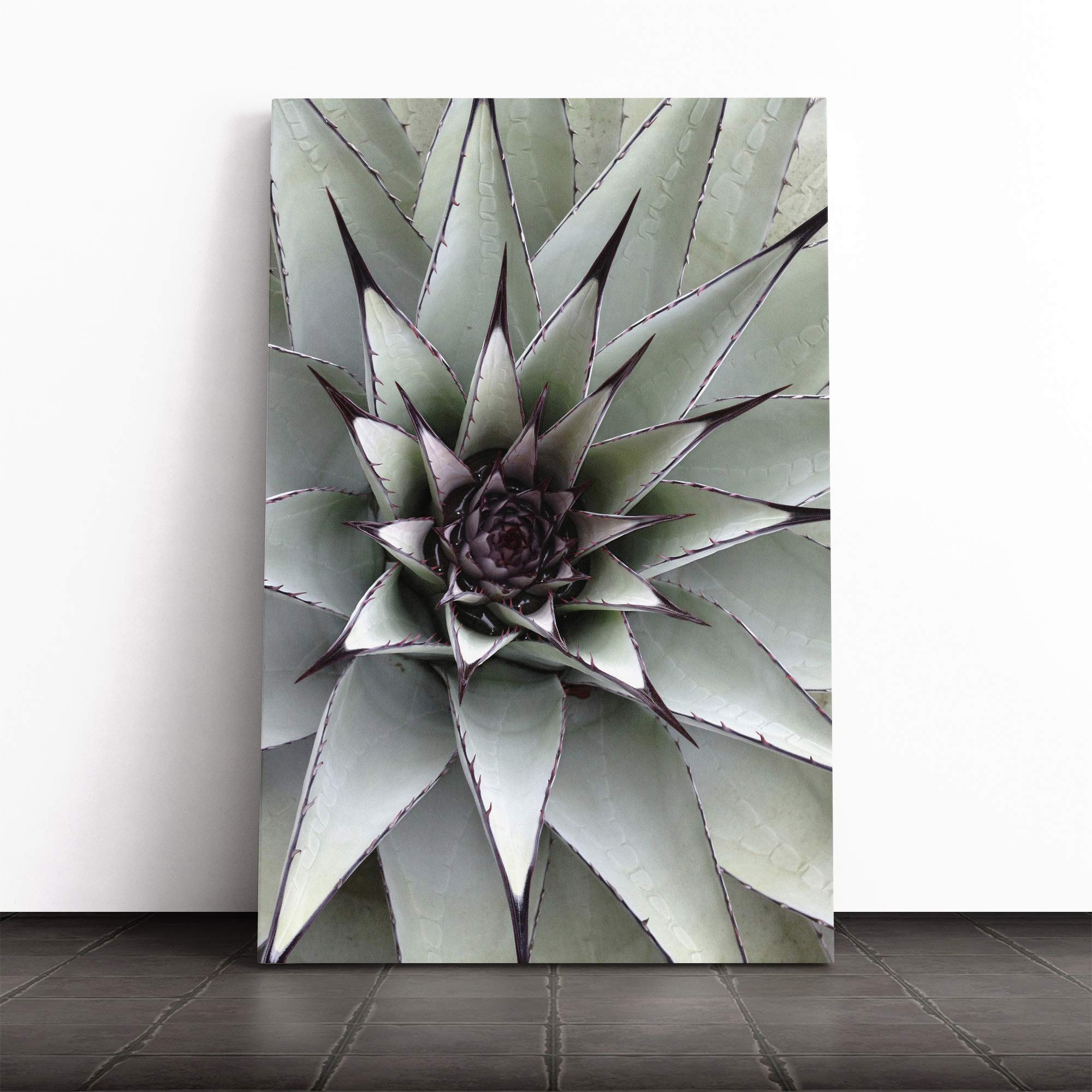 Green Succulent Cactus Canvas Print | Gallery Wrapped 30mm Frame Wall Art | 24x16 inches | Ready to Hang | Modern Floral Picture | Living Room Bedroom Lounge Office