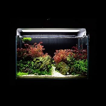 Amazon | ONF Flat One+ 水槽 ライト アクアリウムライト 60cm 電球色