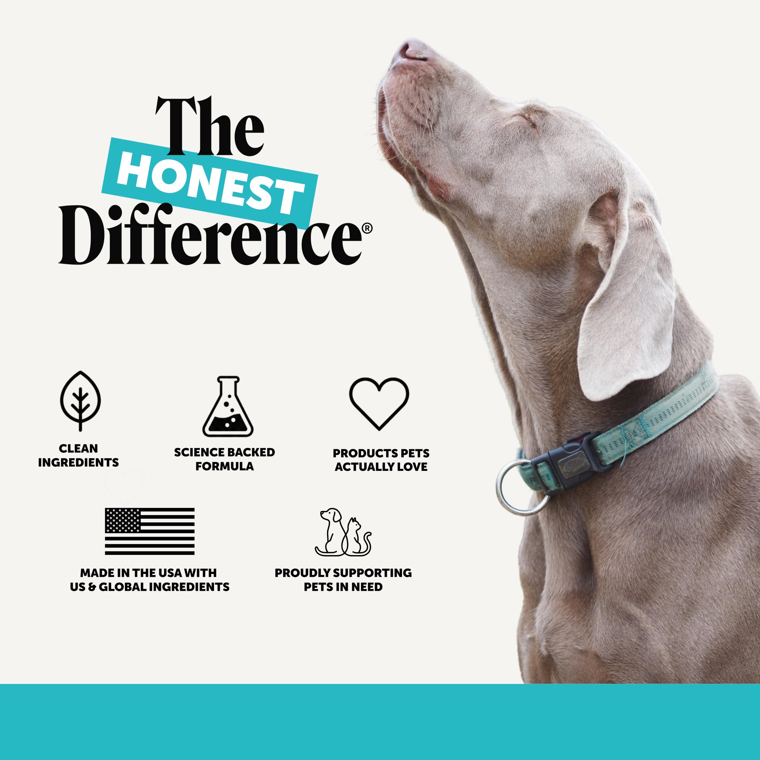 Pet Honesty Cáñamo natural calmante para perros – Alivio de la ansiedad en perros – Calmante con raíz de valeriana, manzanilla + magnesio – Estrés, separación y ayuda a los truenos