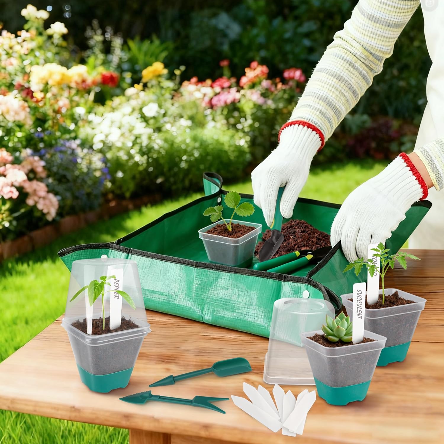 30 Packs Clear Nursery Pots with Plant Repotting Mat, Gloves, Labels,Humidity Domes,Seedling Tools, 3 Inch Plastic Plant Pot with Silicone Base and Drainage Holes, Reusable Seedling Pots