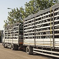 Vista 7 de Correas de trinquete con gancho plano - Correas de amarre resistentes - 2 pulgadas x 27 pies - Correa resistente a la intemperie - Límite de carga