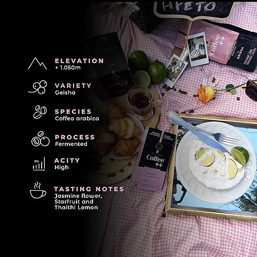 Miniatura 3 de Coffee ++ GEISHA Super Specialty - Café en grano entero  Tostado medio  Taza de excelencia grado 89+  100% café arábica  8.8 onzas