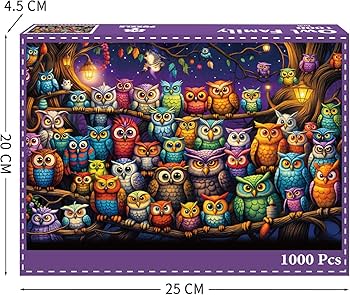 81Bpy8WQ5wL._AC_UF350,