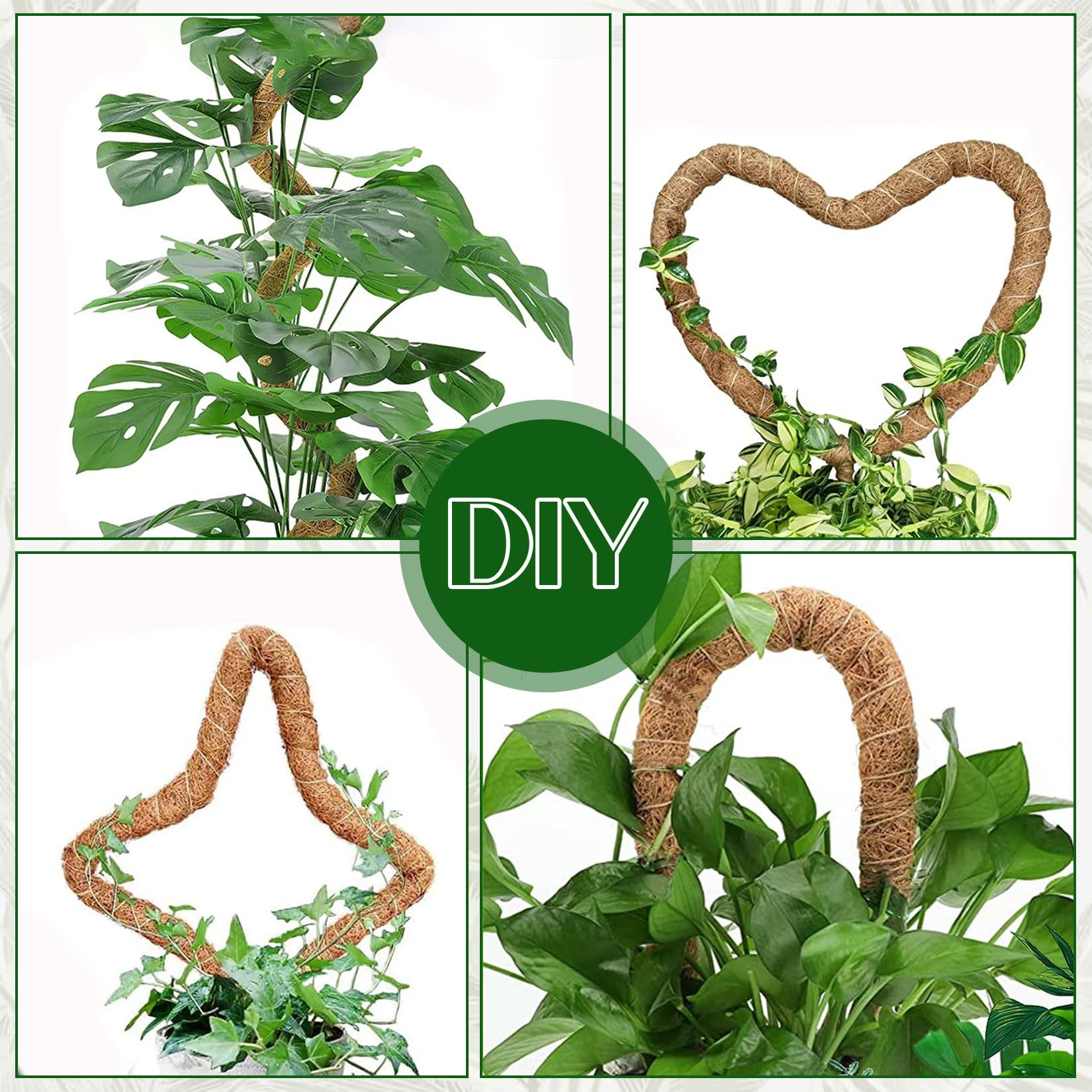 Monstera podpora do roślin pnących do roślin pnących do roślin pnących do wnętrz, 2 sztuki, 160 cm, drążek kokosowy Monstera, elastyczna pałeczka do mchu z akcesoriami