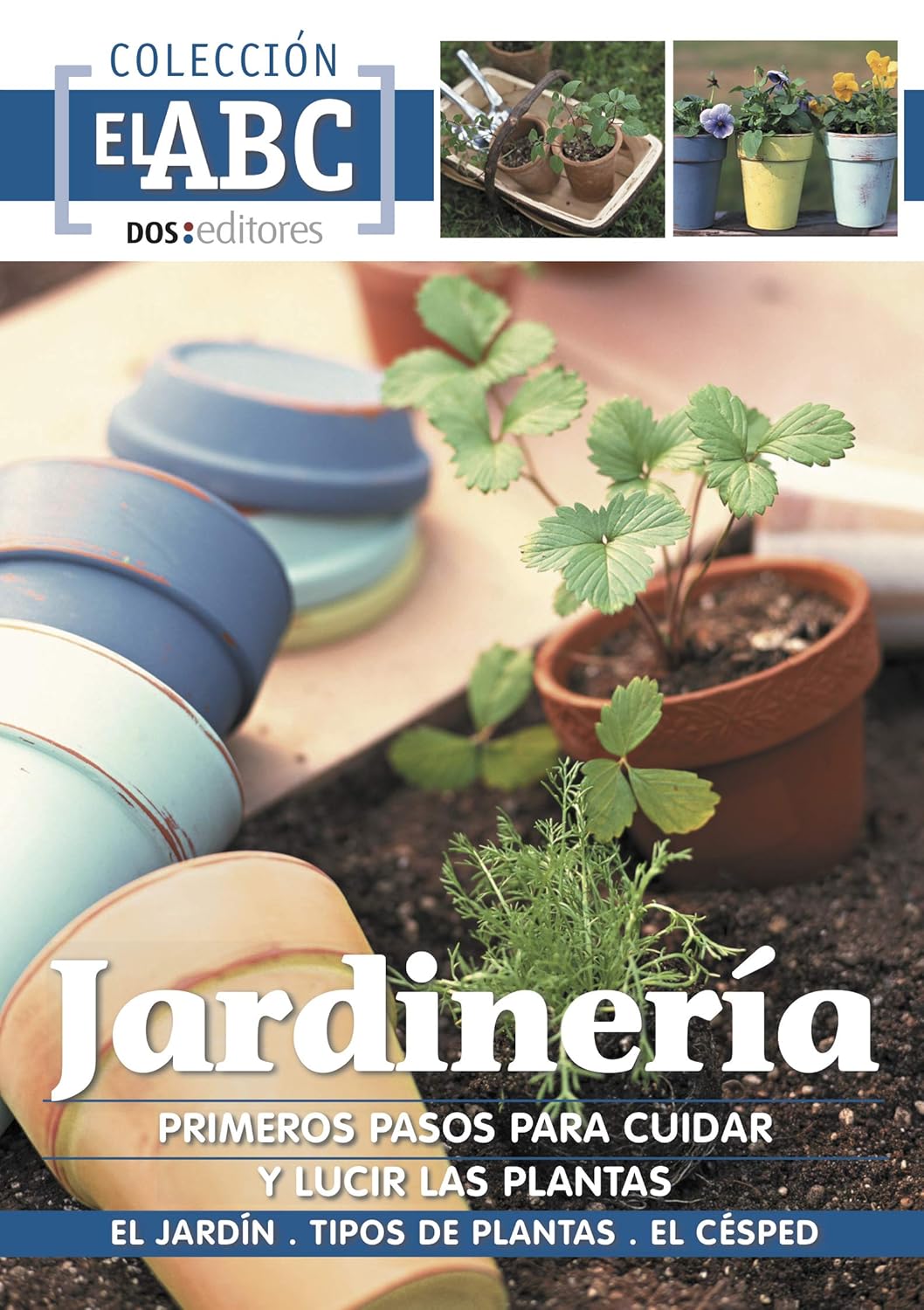 Amazon JARDINERÍA PRIMEROS PASOS PARA CUIDAR Y LUCIR LAS PLANTAS