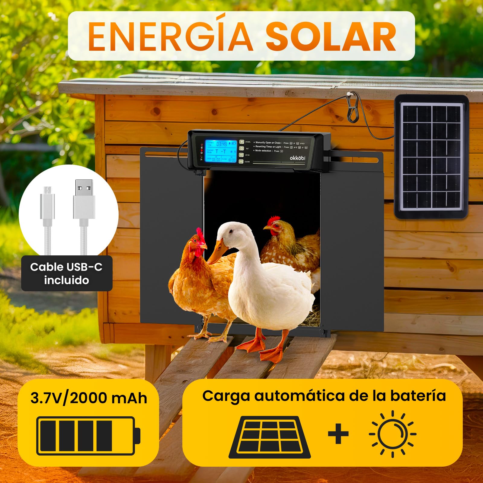 Puerta Gallinero Grande Automática Solar con Mando – Pantalla LCD, Sensor de Luz, Temporizador y Anti-pellizco – Apertura 28,7 x 22,1 cm – Protección 5 años – Negro - Okköbi