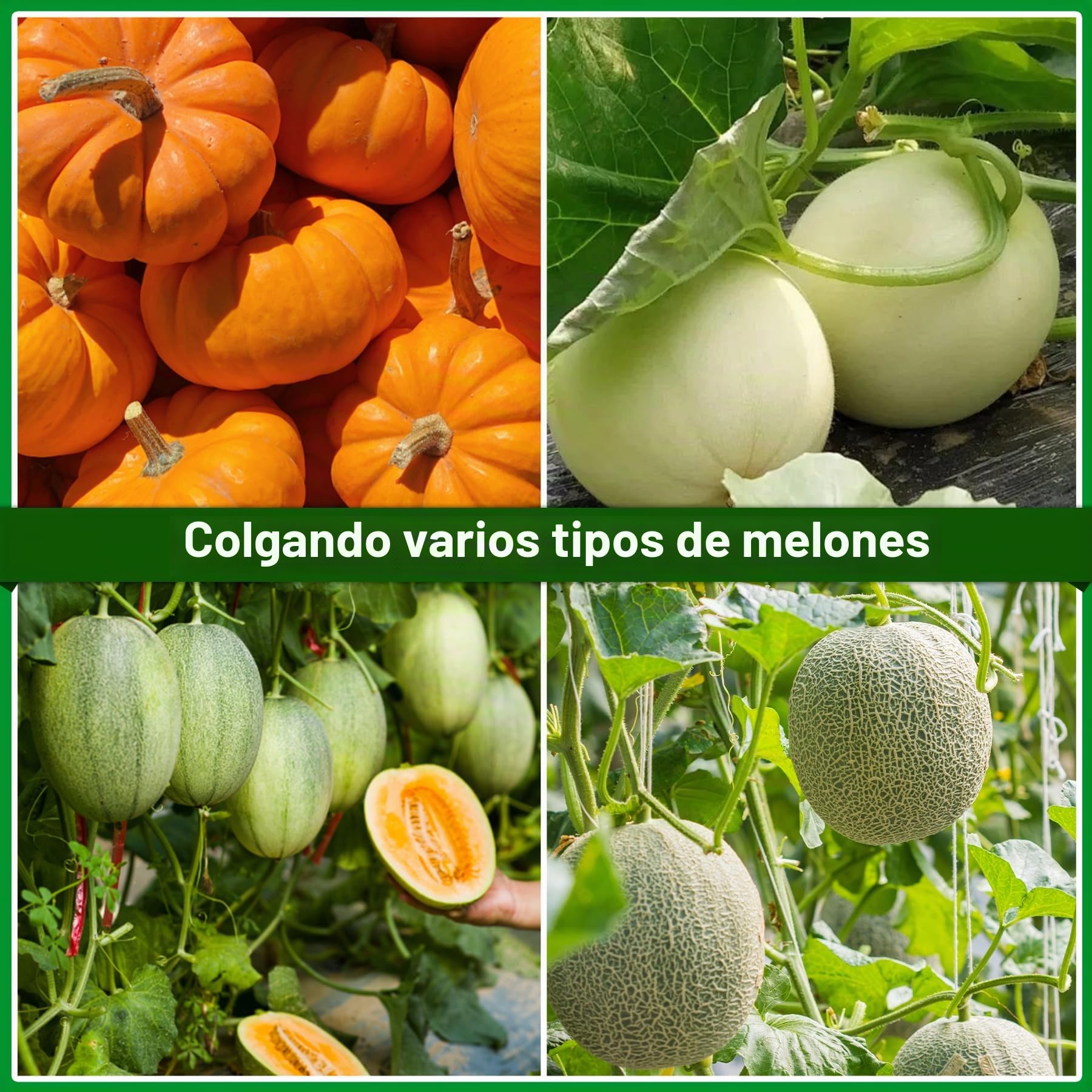 TZEKING 100 Piezas Sbolsas para Reutilizables Más Grueso Redes de Sandía,60cm Bolsas Colgantes de Soporte de Frutas,Redes Melón con Cordón,Aplicable a Frutas, Melones y Protección de Jardines