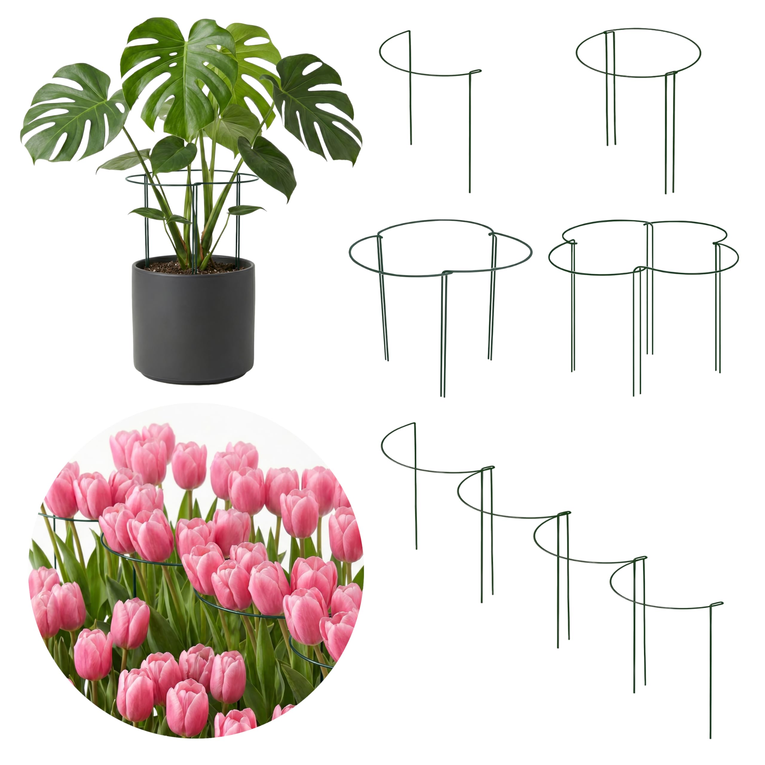 Sillar 10 Tuteurs pour Plantes Semi-Circulaires 25 x 40 cm, Support Plante Jardin en Fer Revêtu, pour Pivoine, Hortensia, Rosier, Tomates, Fleurs, Plantes Grimpantes, Protection Vent
