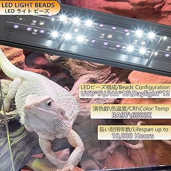 そらと　エイプ　3段シート白、紫　送料込み m76475229537_1.jpg?1619560720