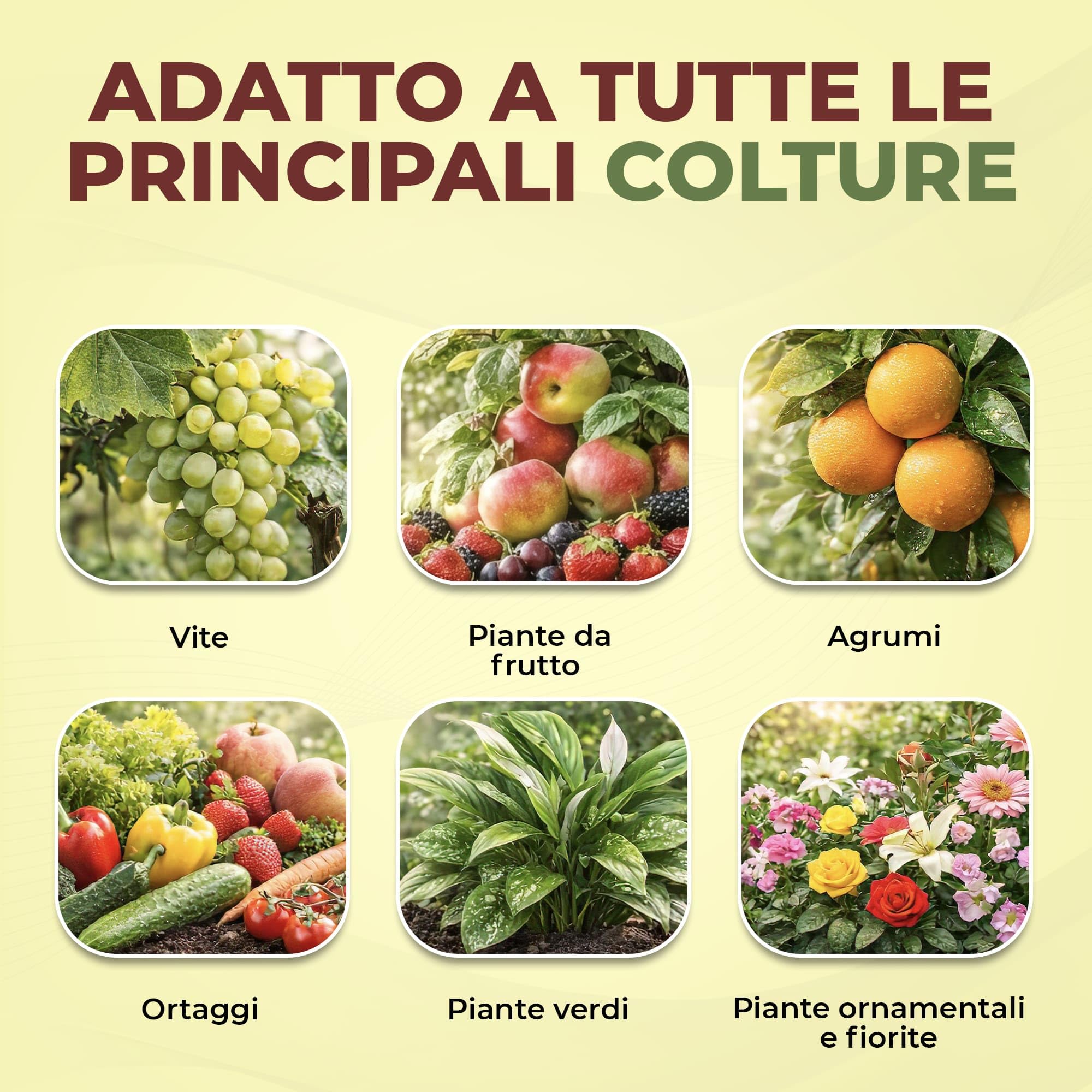 BIOEMOPLUS® Vero Sangue di Bue Concime Liquido Biologico 5 Kg | Rinverdente per Piante con Azoto e Ferro | Stimola Crescita e Vigore | Concime Organico Universale per Piante Verdi, da Frutto e Orto