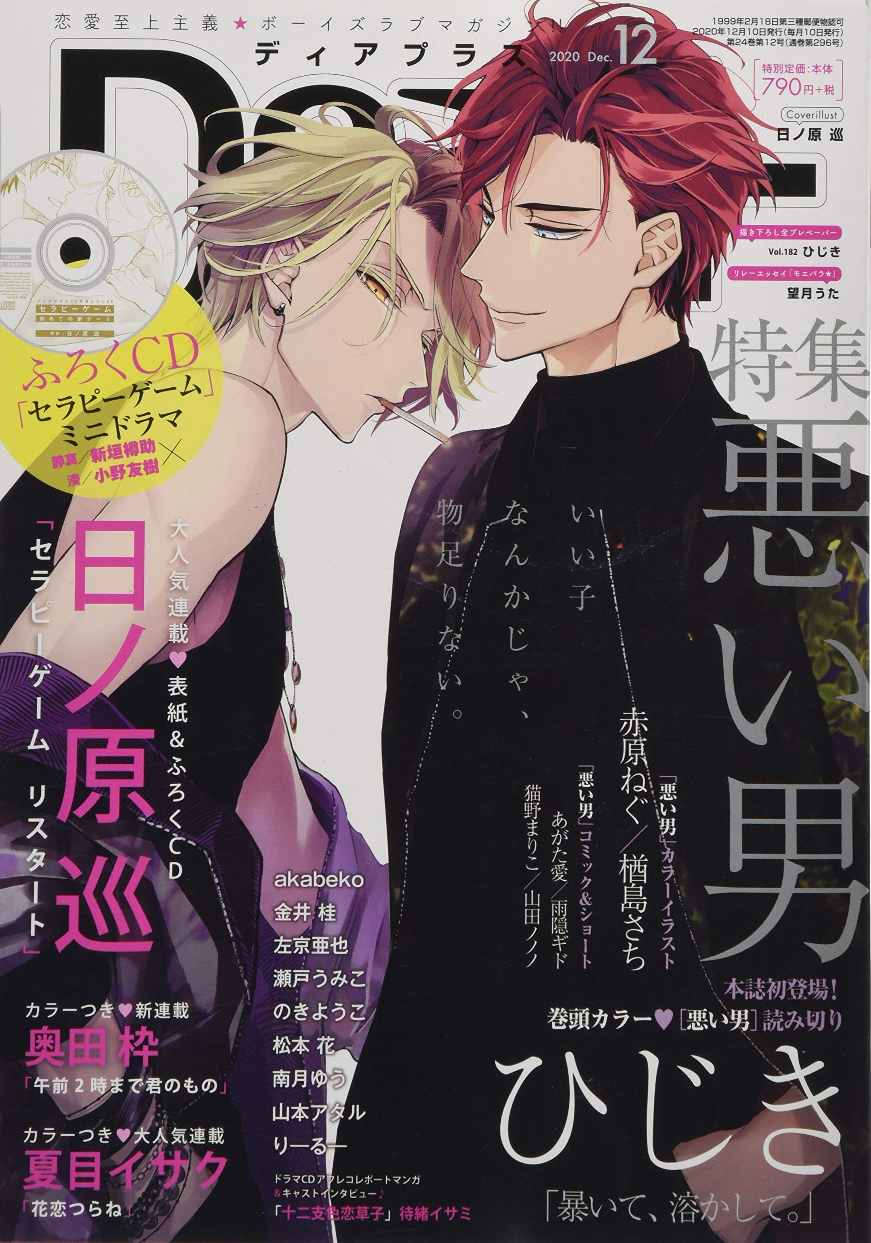 RJY様 ディアプラス 2025年12月号 志水ゆき 切り取り 是－ZE