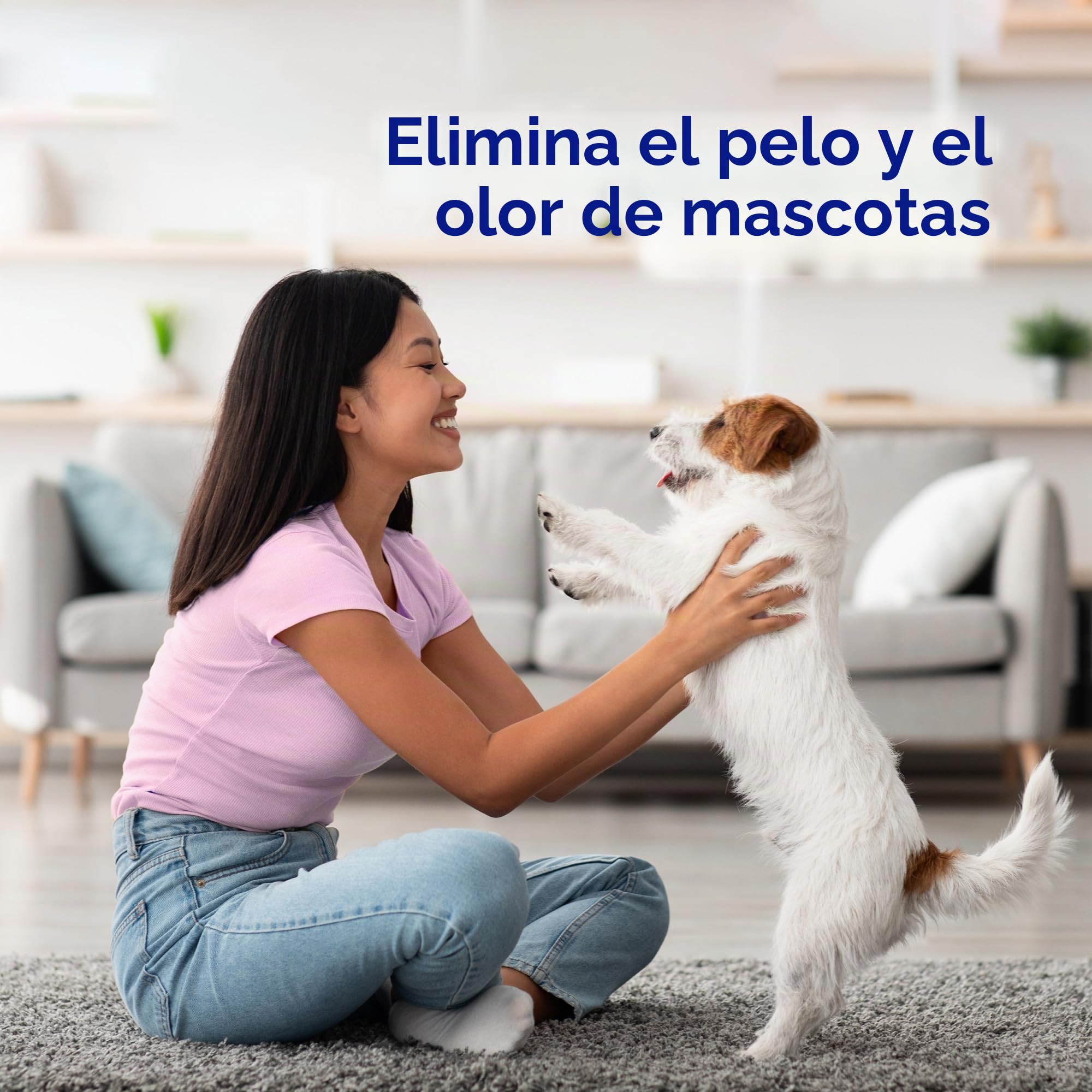 Snuggle Plus SuperFresh - Sábanas suavizantes con tecnología de control estático y eliminación de olores, explosión de primavera, 200 unidades