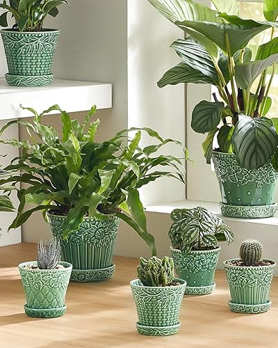 Miniatura 5 de Macetas de cerámica para suculentas, macetas pequeñas de 3.8 pulgadas con orificio de drenaje y platillo, maceta para plantas de interior, cactus,