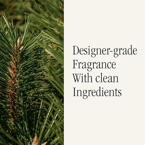 Miniatura 4 de Pura & Illume - Recambio de aroma para el hogar, difusor de aire inteligente, hasta 120 horas de fragancia de lujo por recambio, esencial para el