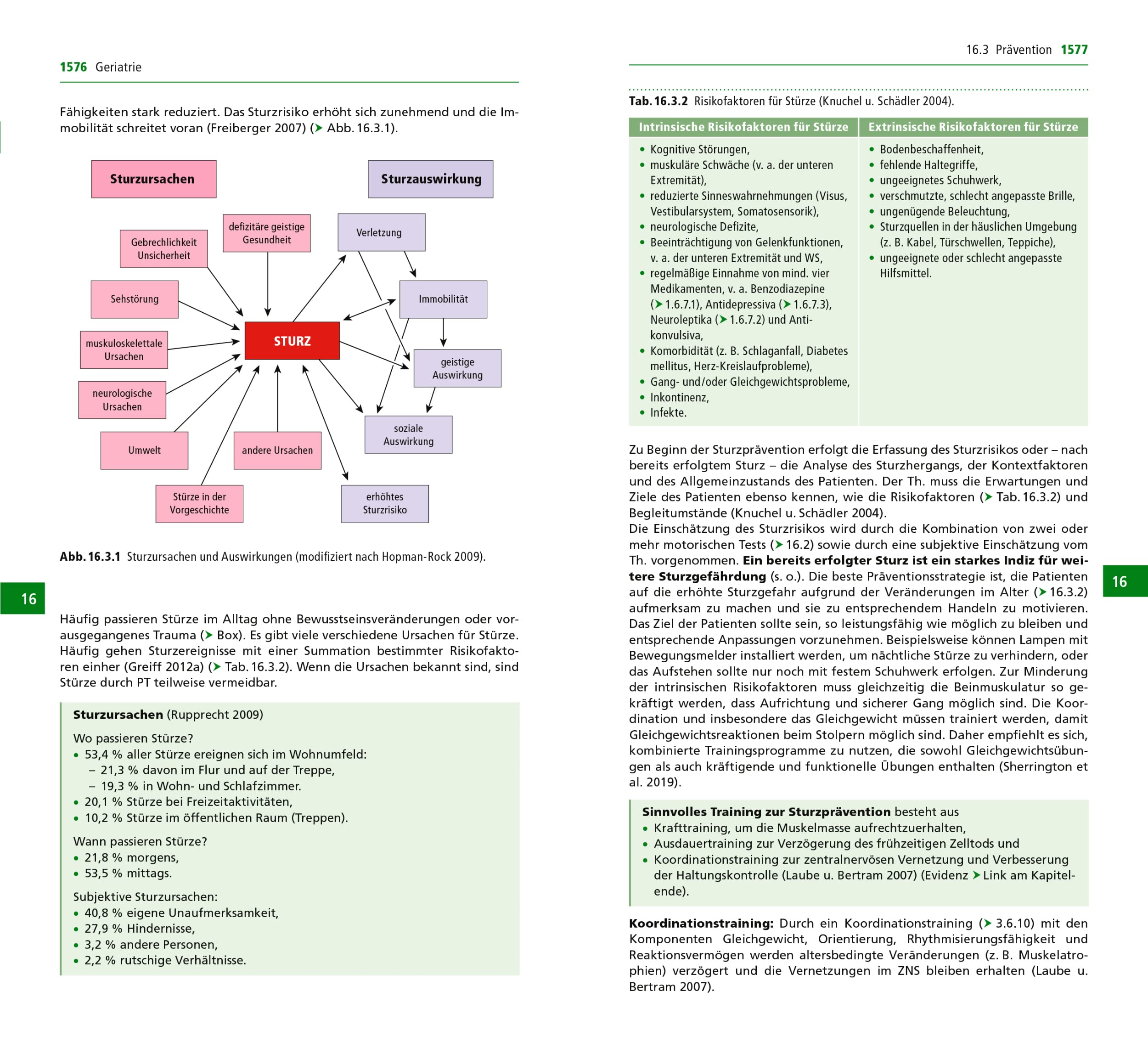 Handbuch Physiotherapie: Umfassend, aktuell, evidenzbasiert, praxisnah