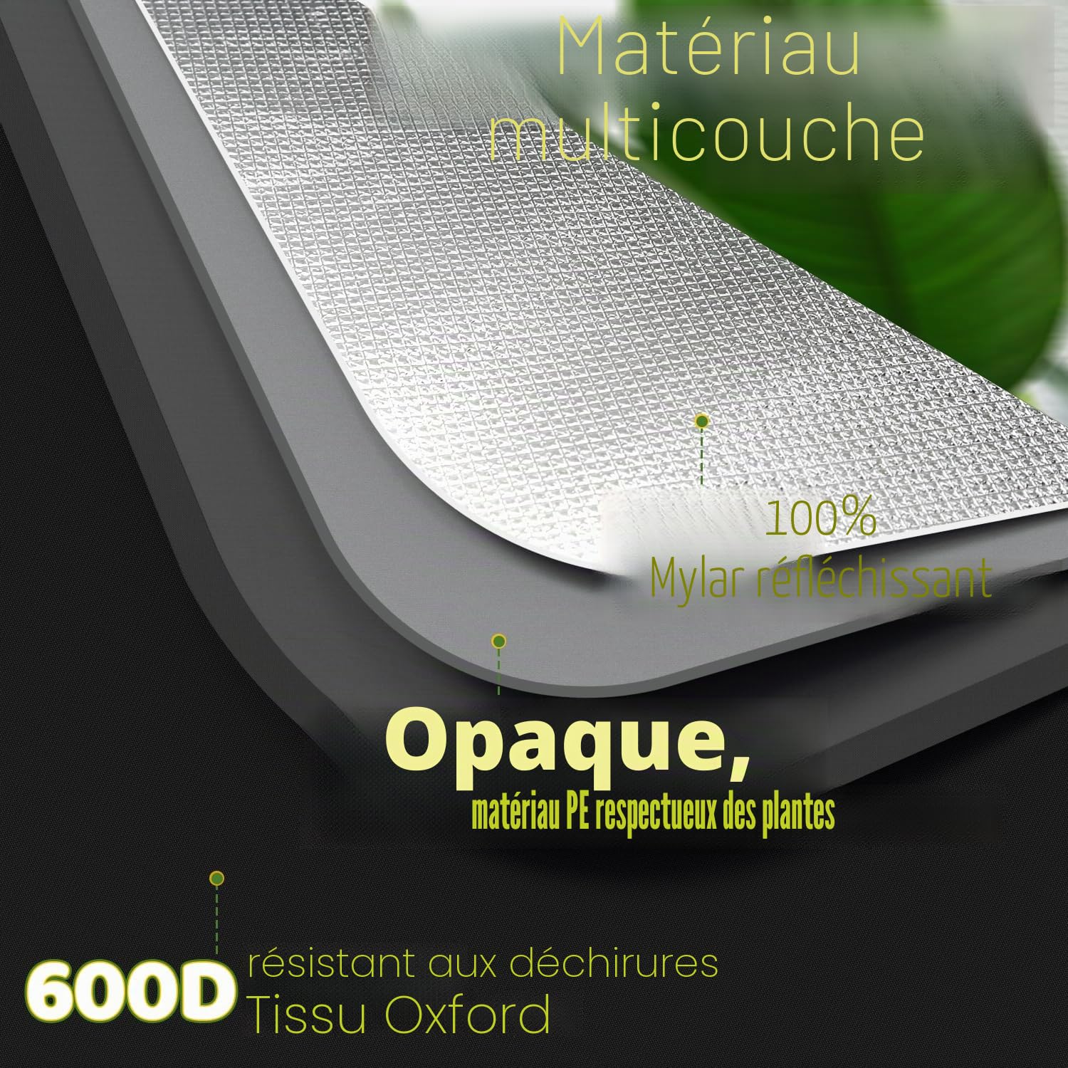 Daromigo Rideau de culture 100 x 100 x 200 cm 600D Oxford imperméable pour la culture intérieure serre ventilée noir et vert