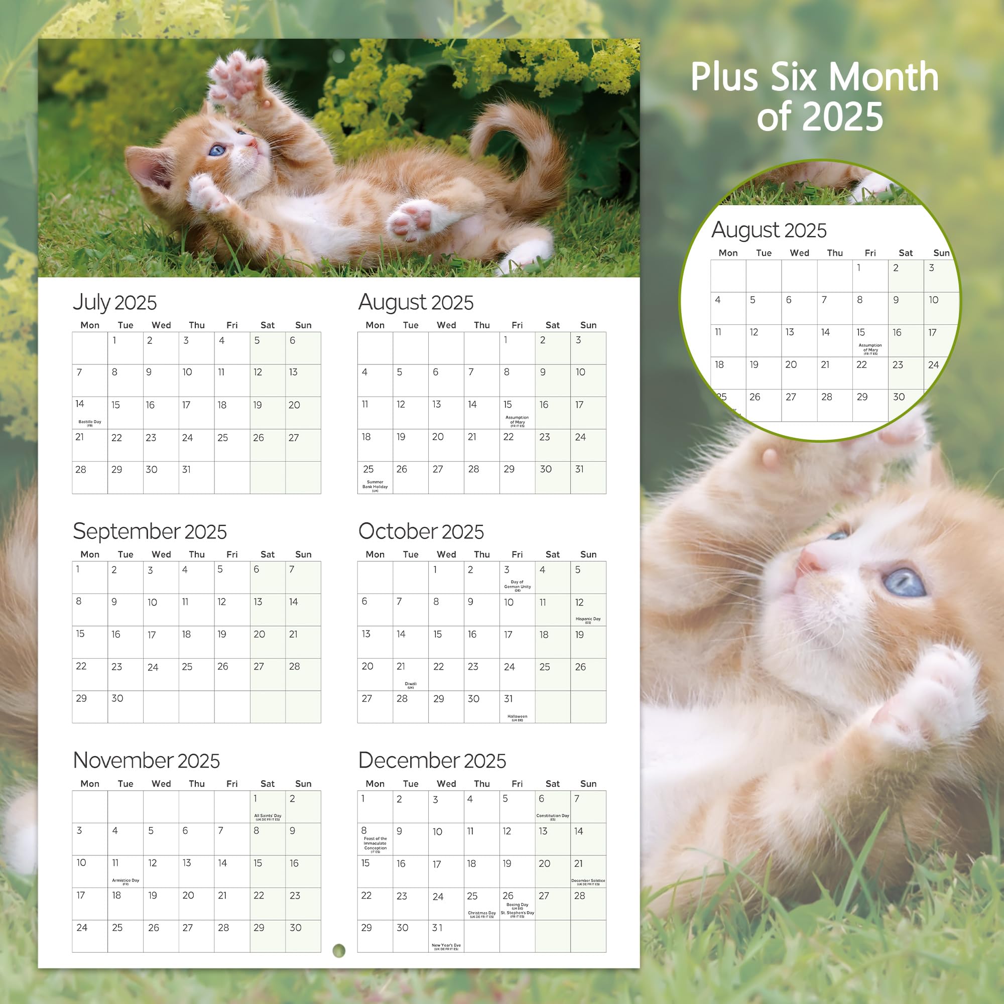 Calendrier Personnalisé Photo 2026 Finocam – Calendrier Neutre Mural Pour écrire Deux Colonnes 2025 1 Mois Par Page Janvier 2025 – Décembre 2025 (12 Mois) Français Calendrier 2026 Mural