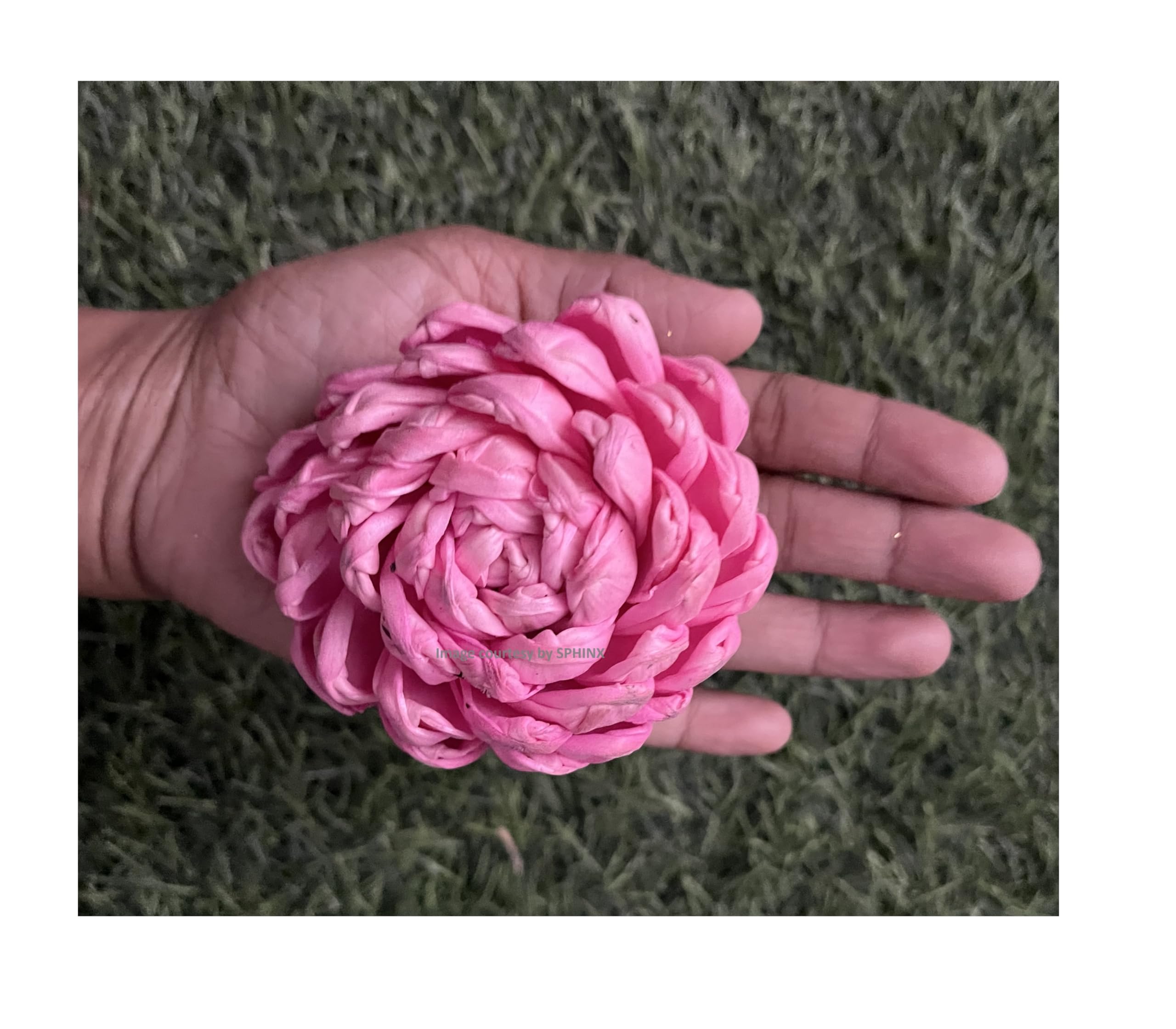 SPHINX Sola Bloomed Lotus Flowers for Decorations, Gift Packing, D-I-Y Art and Crafts, Garland Making Festive Decor Pooja Decor Table Decorations- (Light Pink Diameter Approx 8 cms, 5 Pieces)