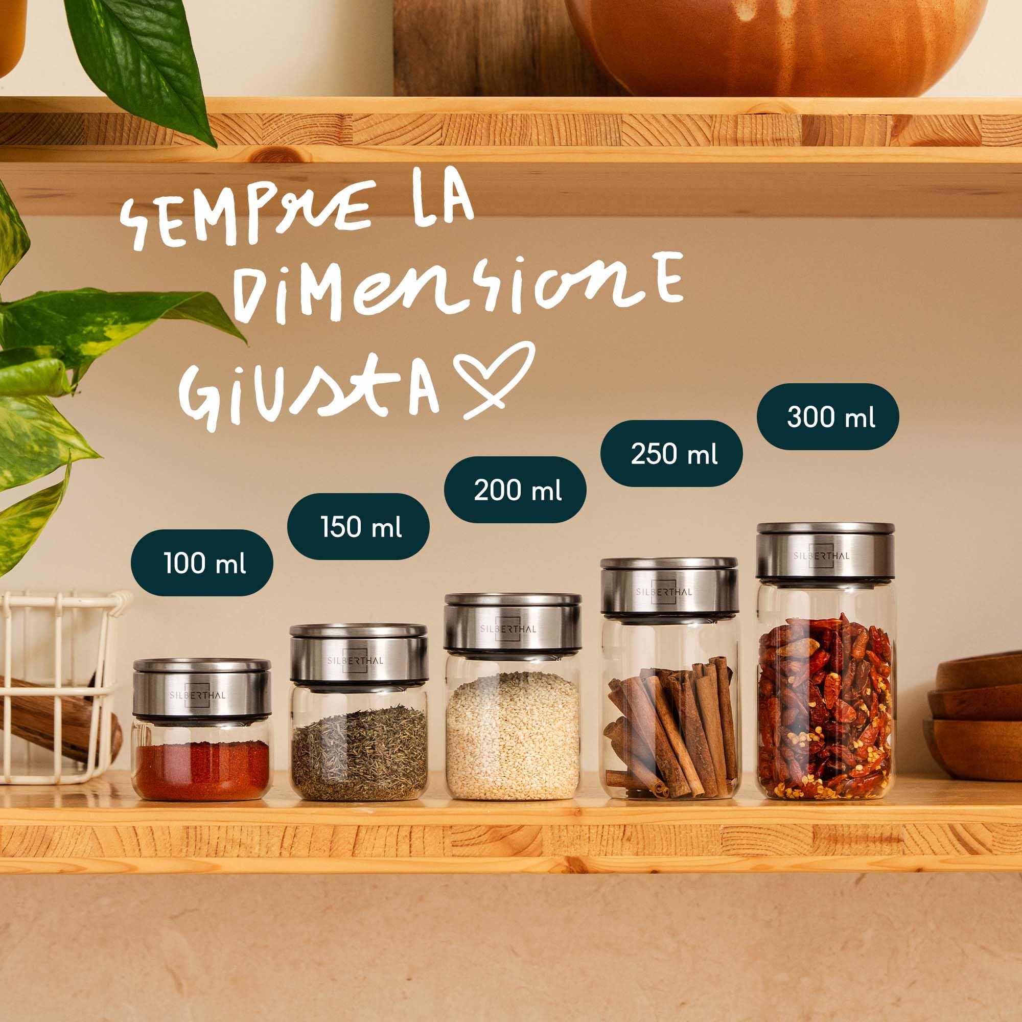 SILBERTHAL Set 12 barattoli porta spezie in vetro 300 ml – Coperchio inox