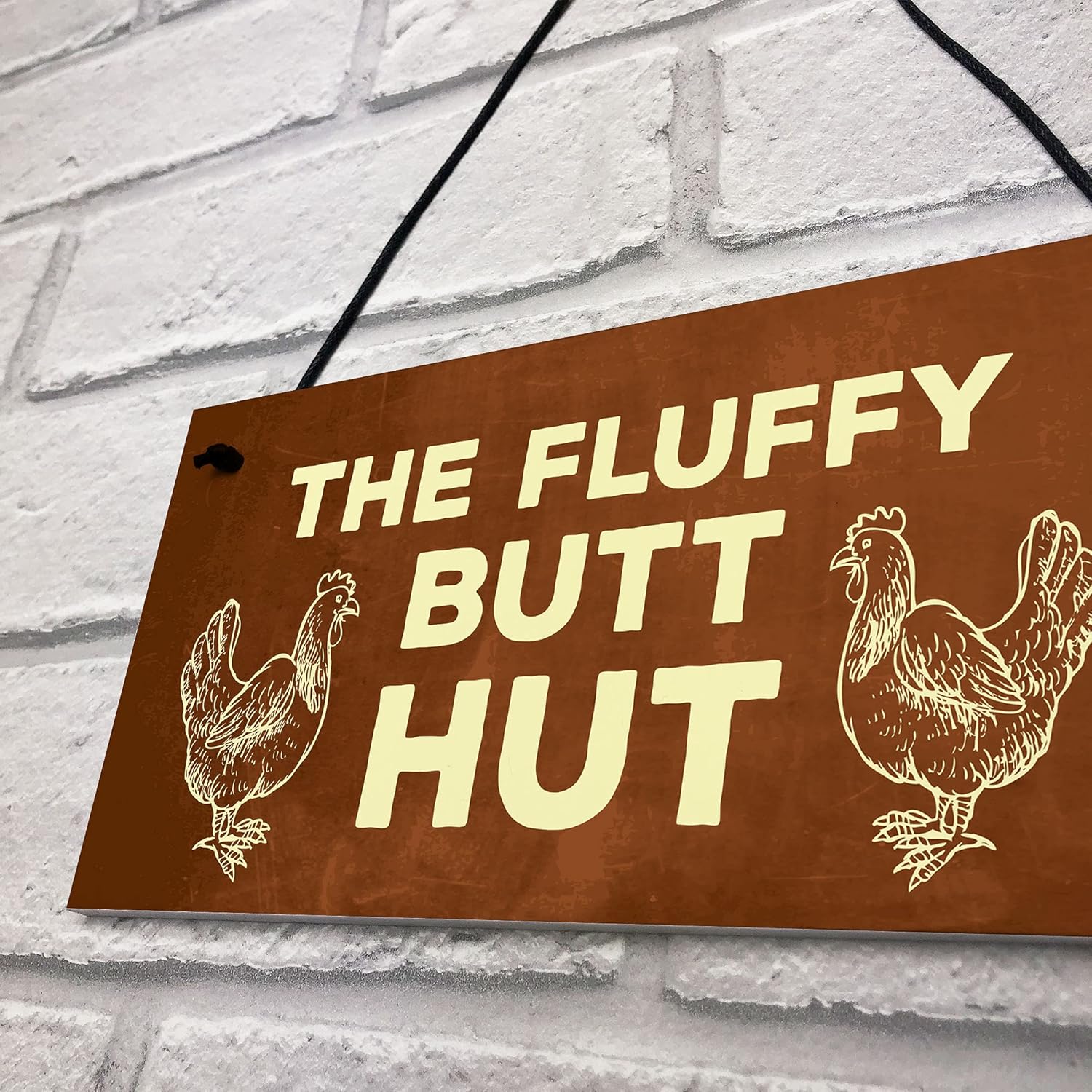 RED OCEAN Funny Chicken Coop Novelty Hanging Plaques Animal Pet Gift Garden Signs Gifts