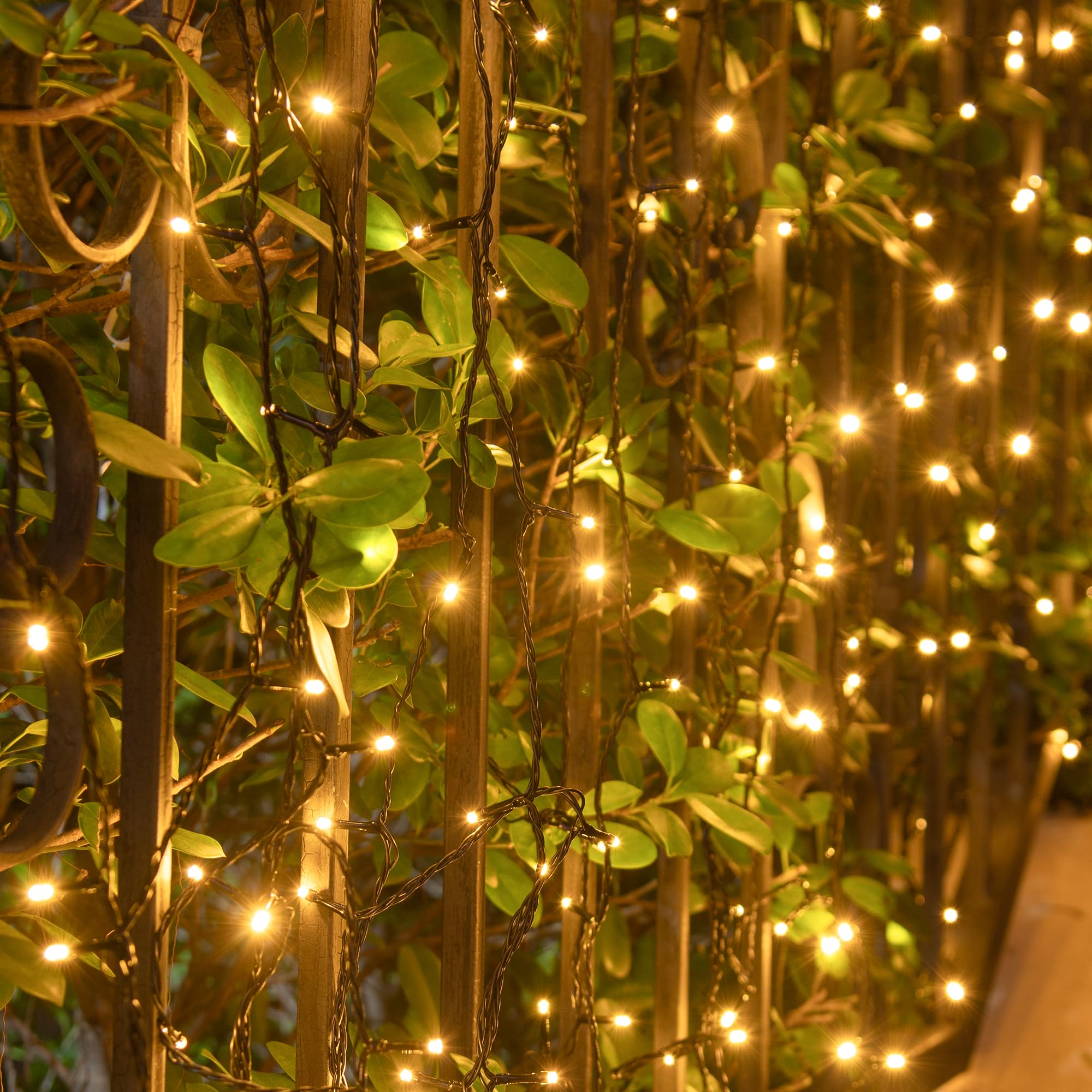 Lichterkette Außen 100m 800 LED mit 8 Modi, Timer und Speicherfunktion – Für Lichterkette Weihnachtsbaum, Lichterkette Innen, Weihnachten, Garten, Balkon und Party (Warmweiß)