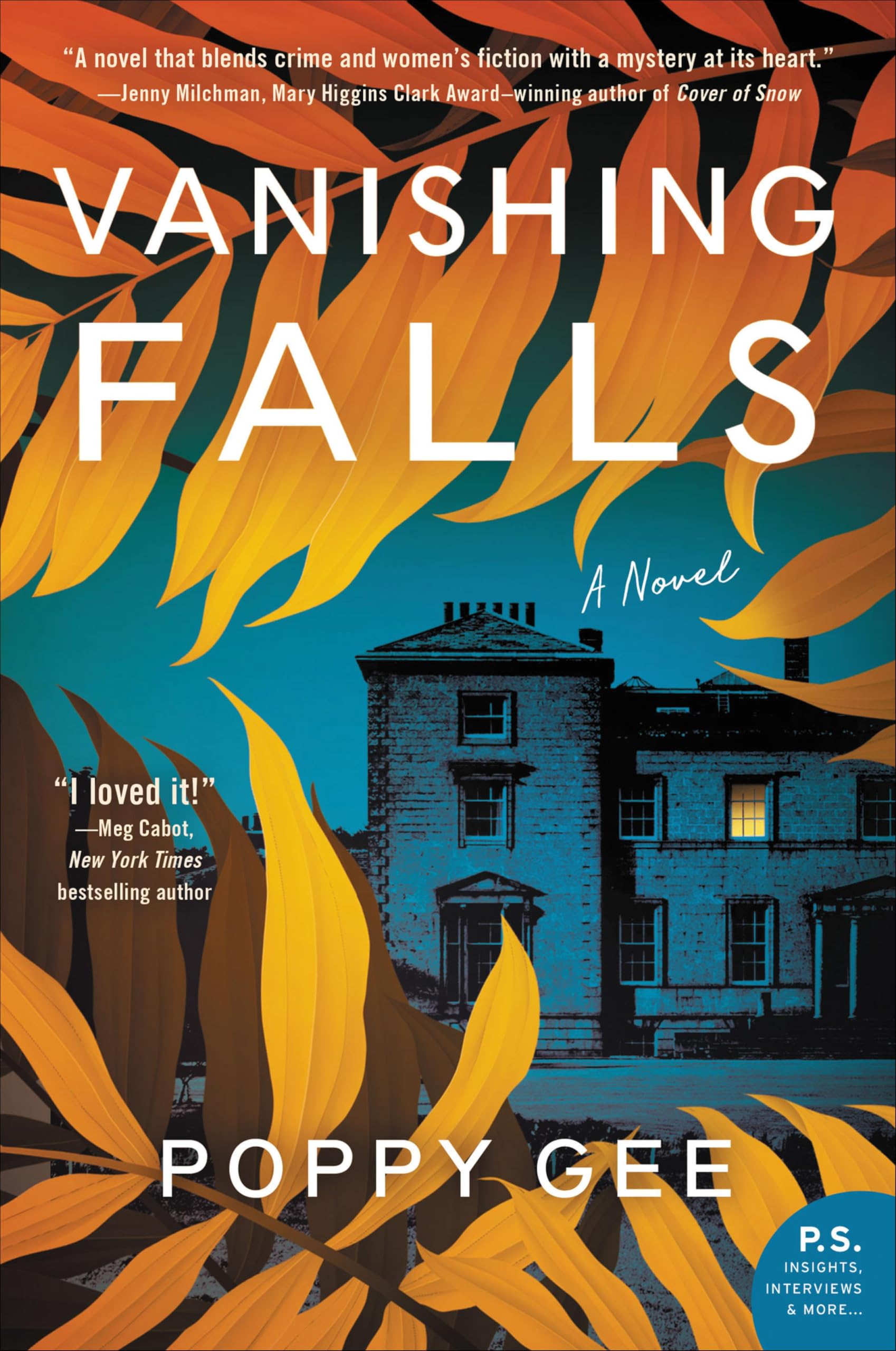 Buy Vanishing Falls: A Novel — BookShops.in