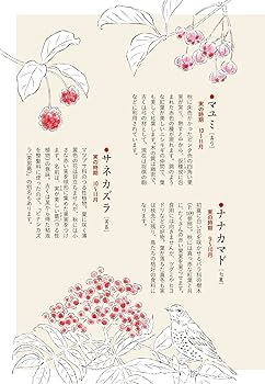 【中古】 民事再生の罠 小説/文芸社/山草花鳥 818hkq0oe0L.jpg