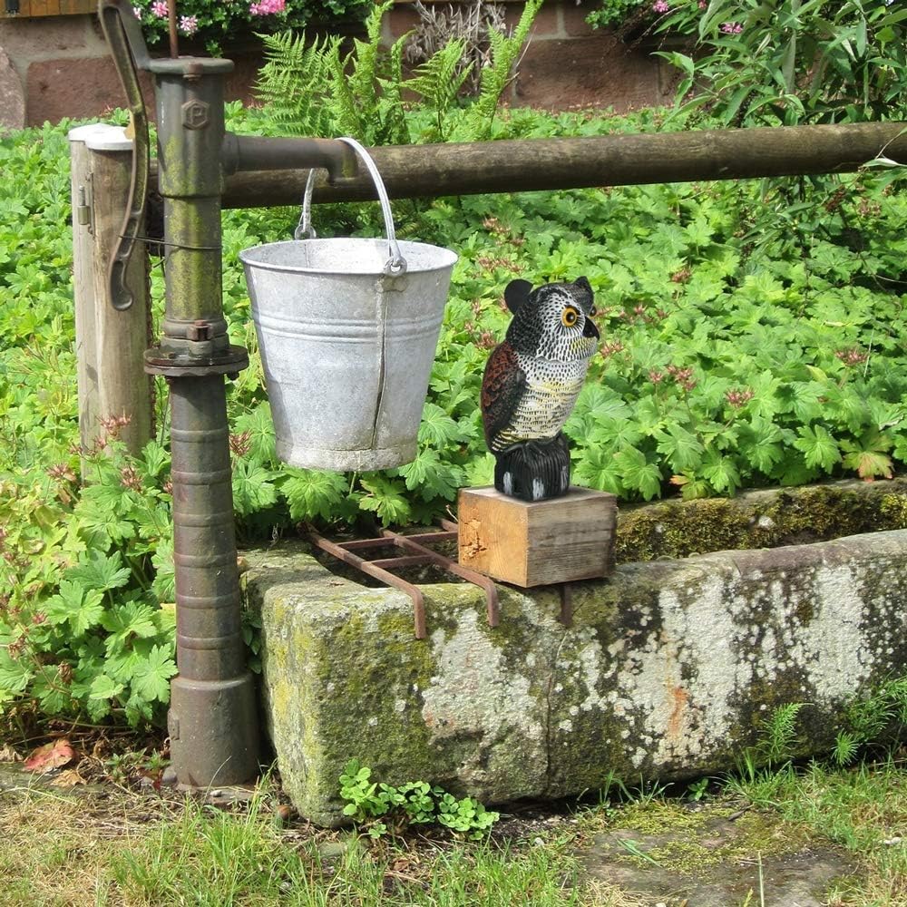 Gufo Esca con Suono, Spaventapasseri Gufo Esca 360 Ruota La Testa per Spaventare Gli Uccelli, Gufo Finto Deterrente per Uccelli Parassiti All'aperto per Protezione del Giardino del Patio, 16