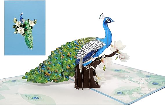 Top 3D Peacock Pop Up Birthday Card For Wife Husba... – Grandado