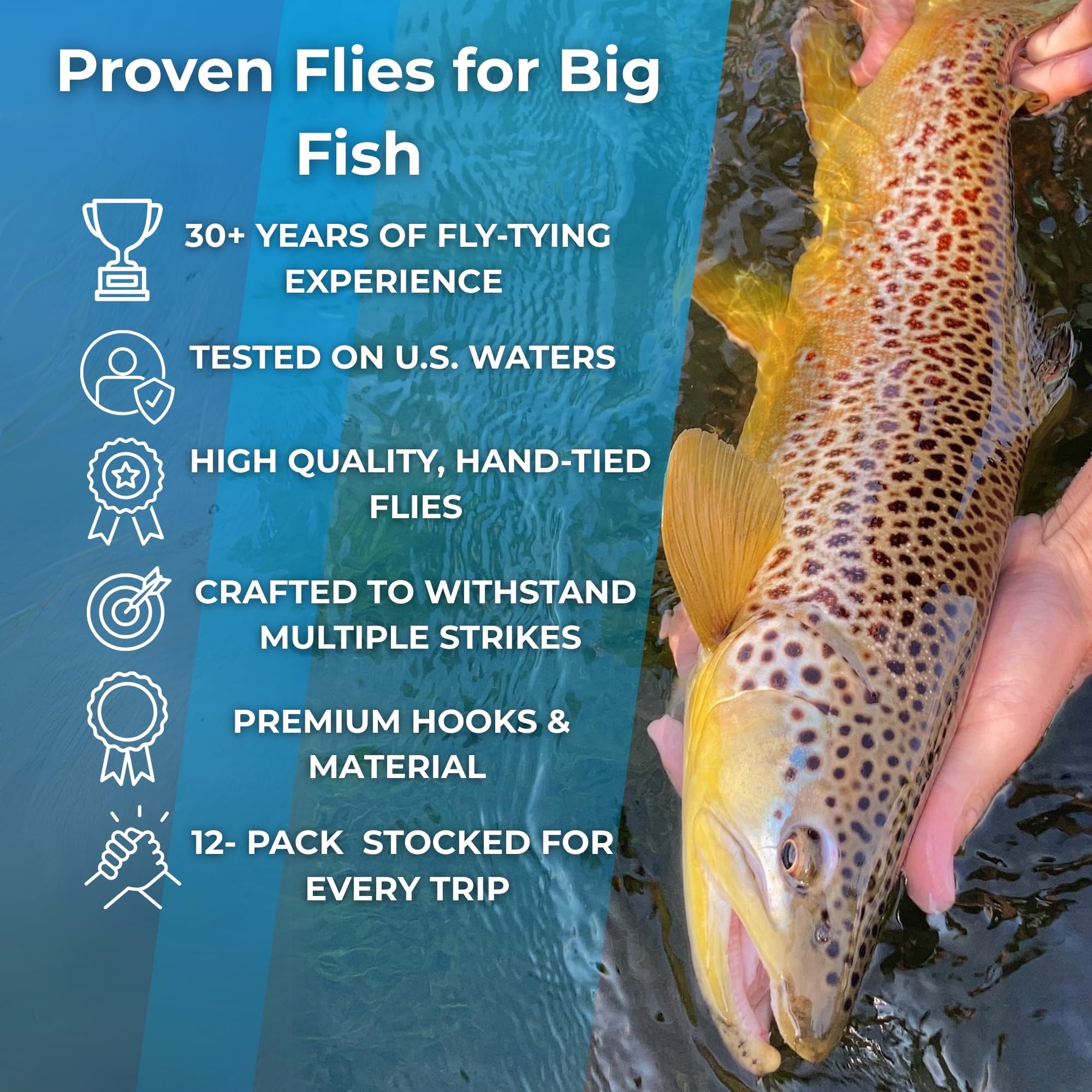 Frenchie 12 Pack - Hand Tied Euro Nymphs for Trout Fly Fishing - Fast Sinking Perdigon-Style Fly for Rivers, Creeks & Streams - Premium Subsurface Trout Fly Set