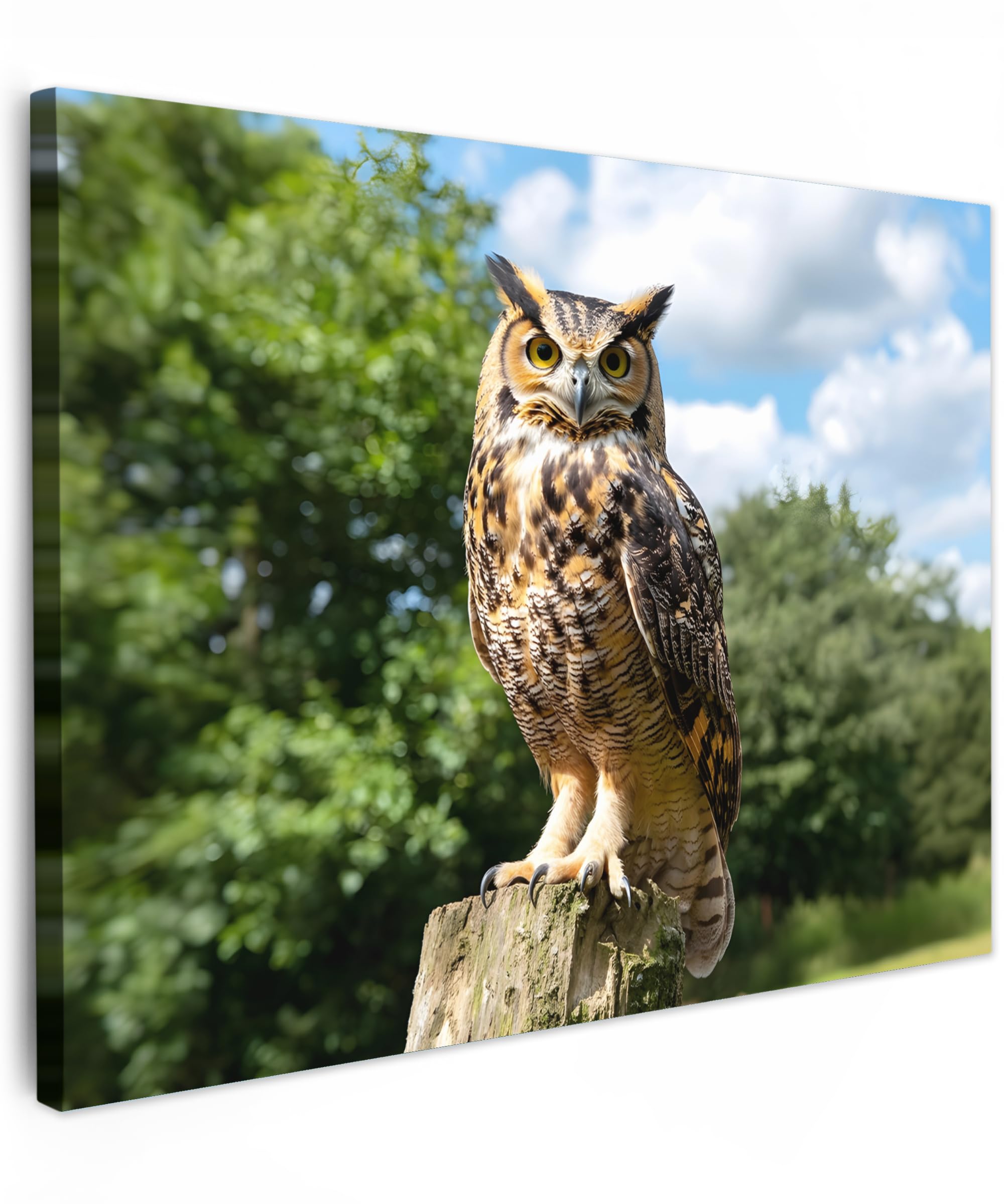 MuchoWow© Canvas Wall Art 16"x12" / 40x30 cm Decor Paintings Prints framed on Canvas Decorations Wallart Owl - Tree Stump - Forest - Sky