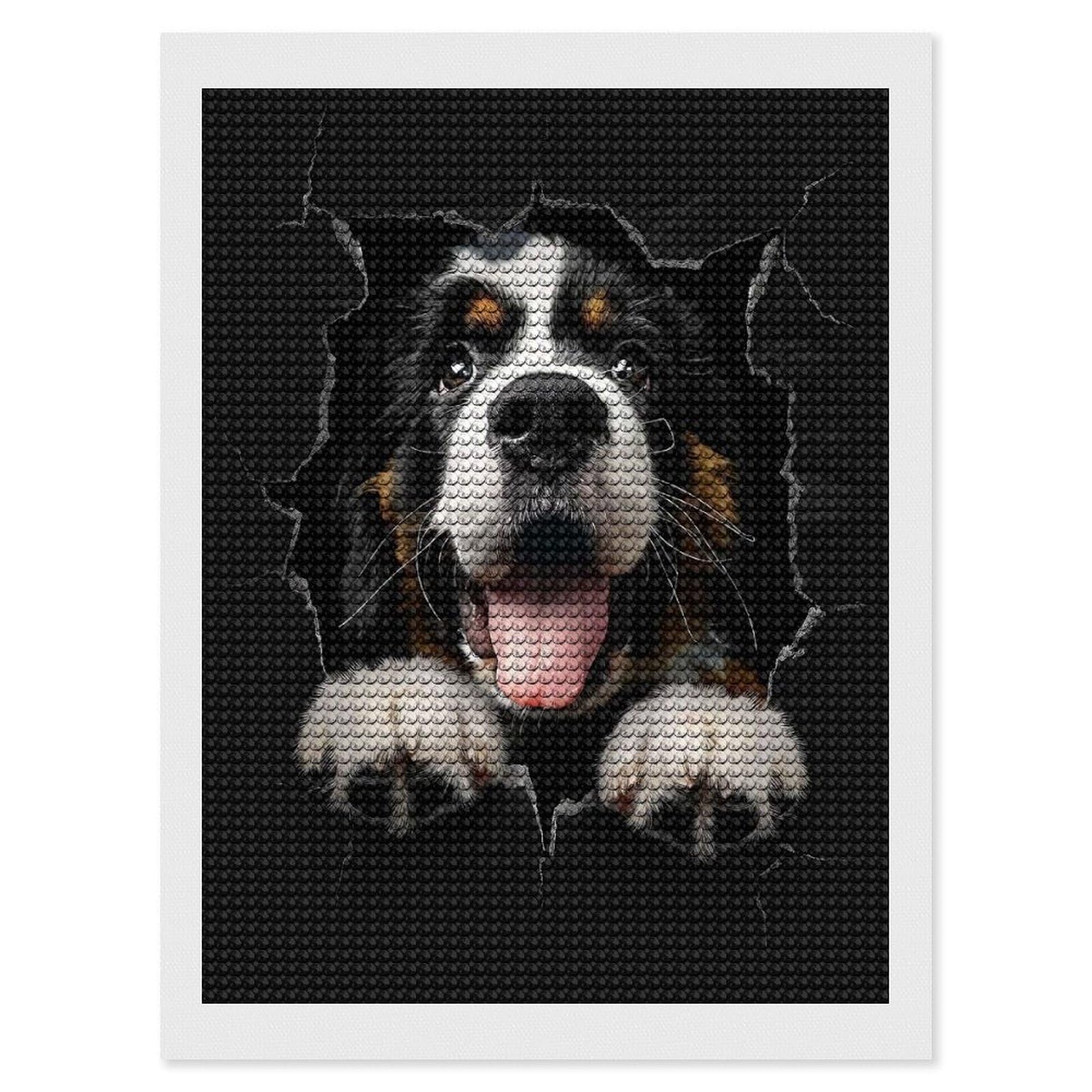 Junmoney Saint Bernard Diamond Painting Canvas Set 12"x16", Boho Decor, for Craft Lovers, Easy Handmade Project, Holiday Gift Idea