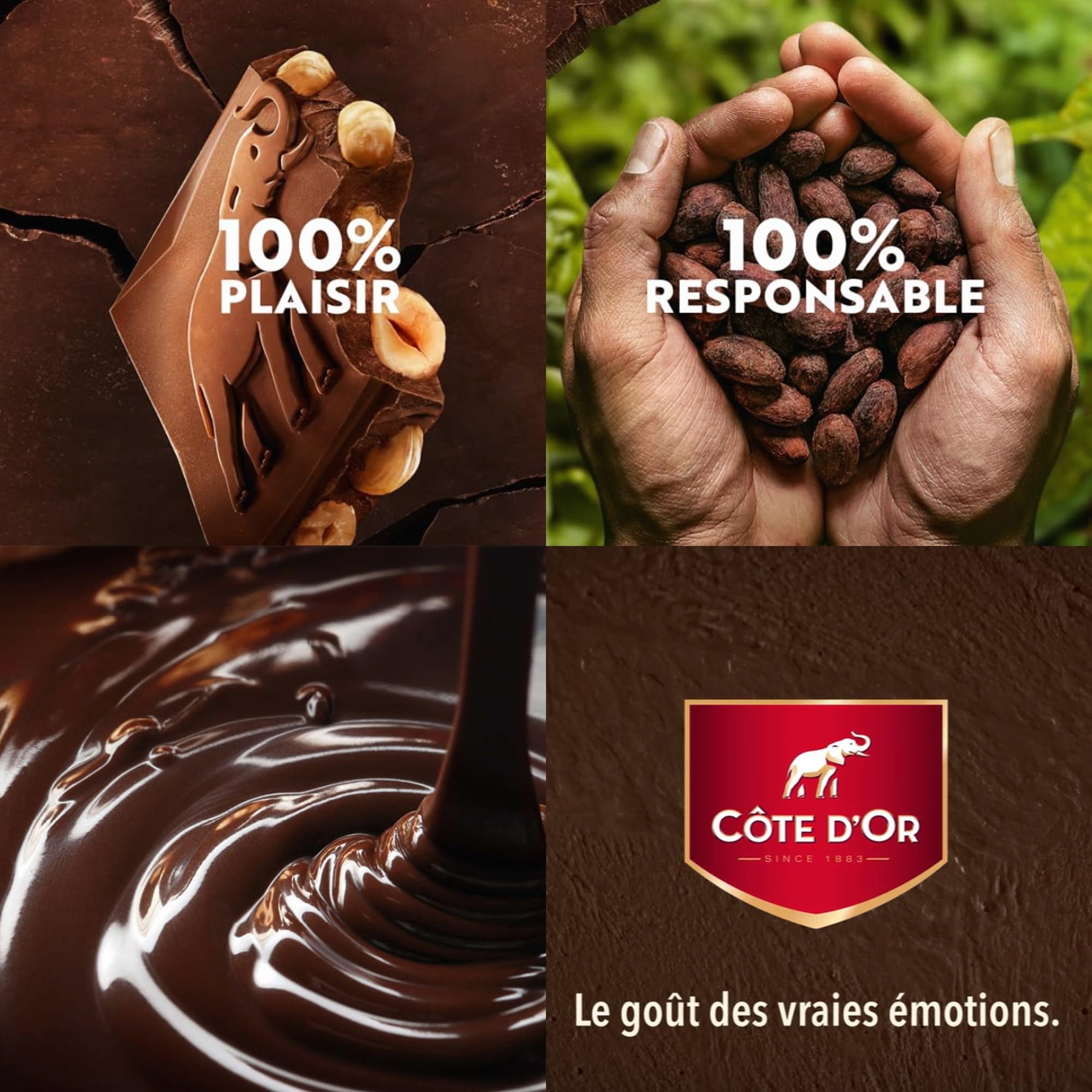 Côte d'Or - Carrés Chocolat Noir et Noisettes Entières - 3x200g