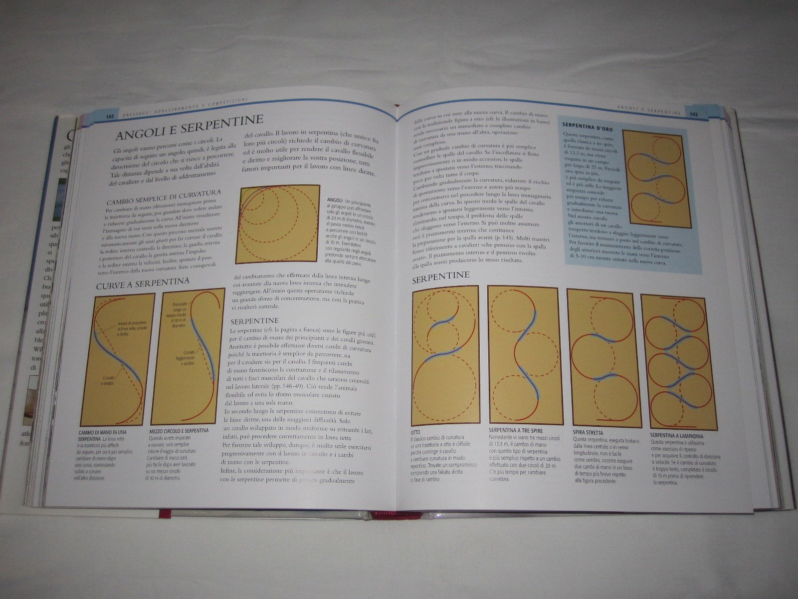 Manuale completo di equitazione. Ediz. illustrata