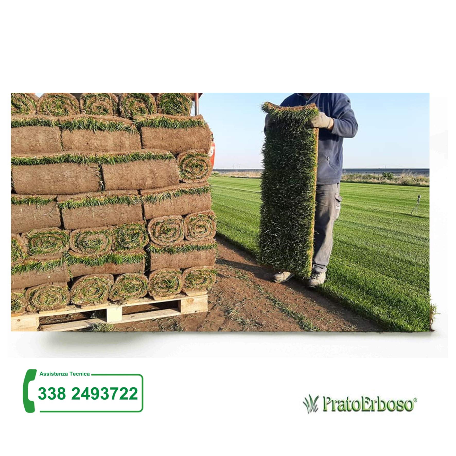 Vero prato pronto a rotoli di 40mq 1^ scelta in erba naturale, NO sintetica sintetico (80rotoli) per giardino