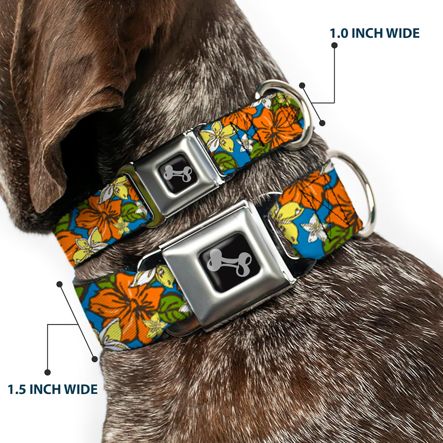 Buckle-Down Seatbelt Buckle Dog Collar - Hibiscus Collage Blue/Orange/Yellow - 1.5" Wide - Fits 18-32" Neck - Large