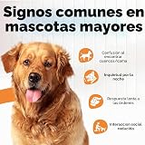 Ver la foto 4