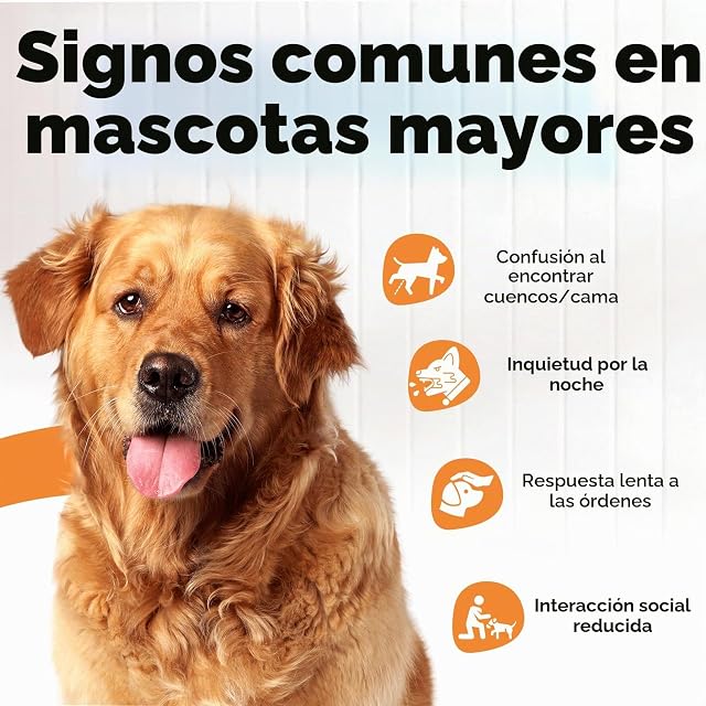 Foto 4 de 6 de Suplemento cognitivo y Cardiovascular para Perros y Gatos Mayores