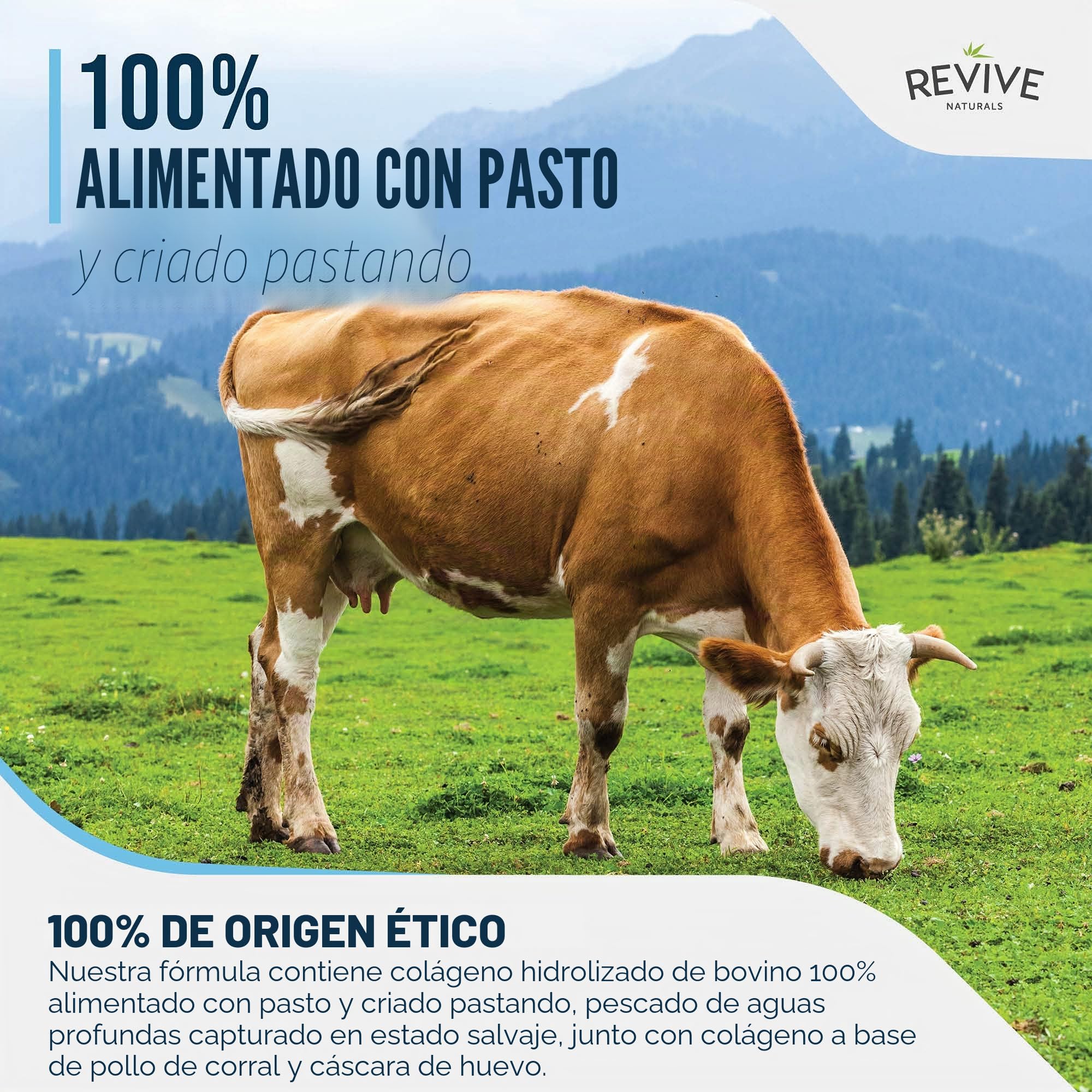 Colágeno en Polvo 400g – Multi Collagen Peptides – Tipos I, II, III, V y X – de Bovinos Alimentados con Pasto, Peces Silvestres, Caldo de Huesos Bovinos Alimentados con Pasto.