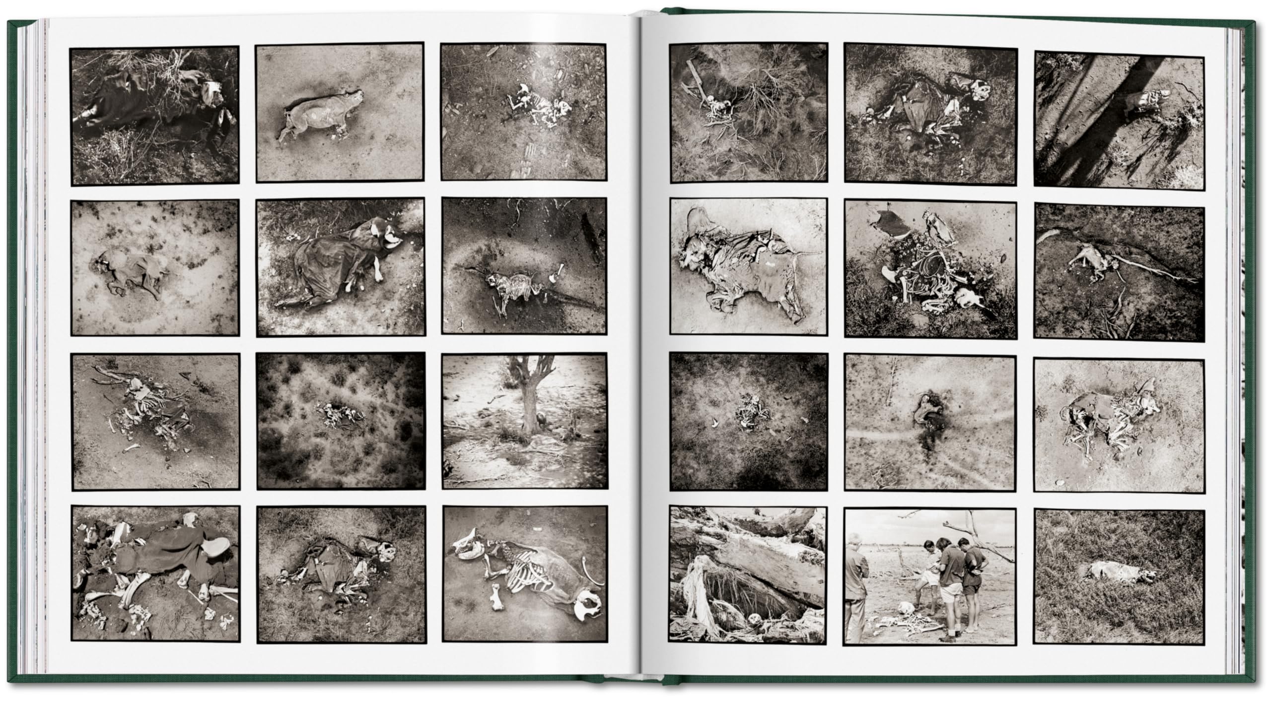 Peter Beard: The End of the Game