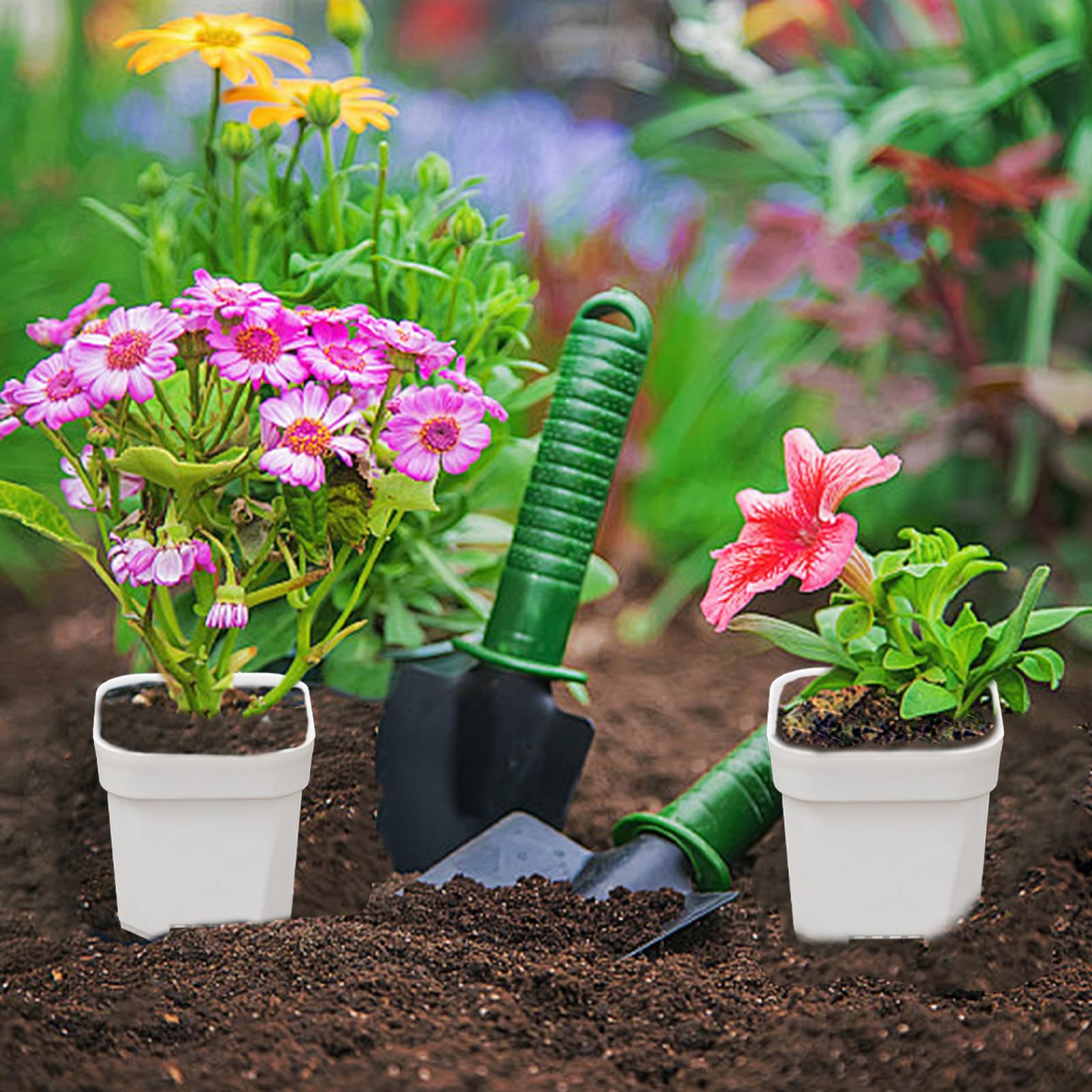 Amazon｜ZEZUT 育児用ポット 60個パック 2.5インチ キューブ 厚