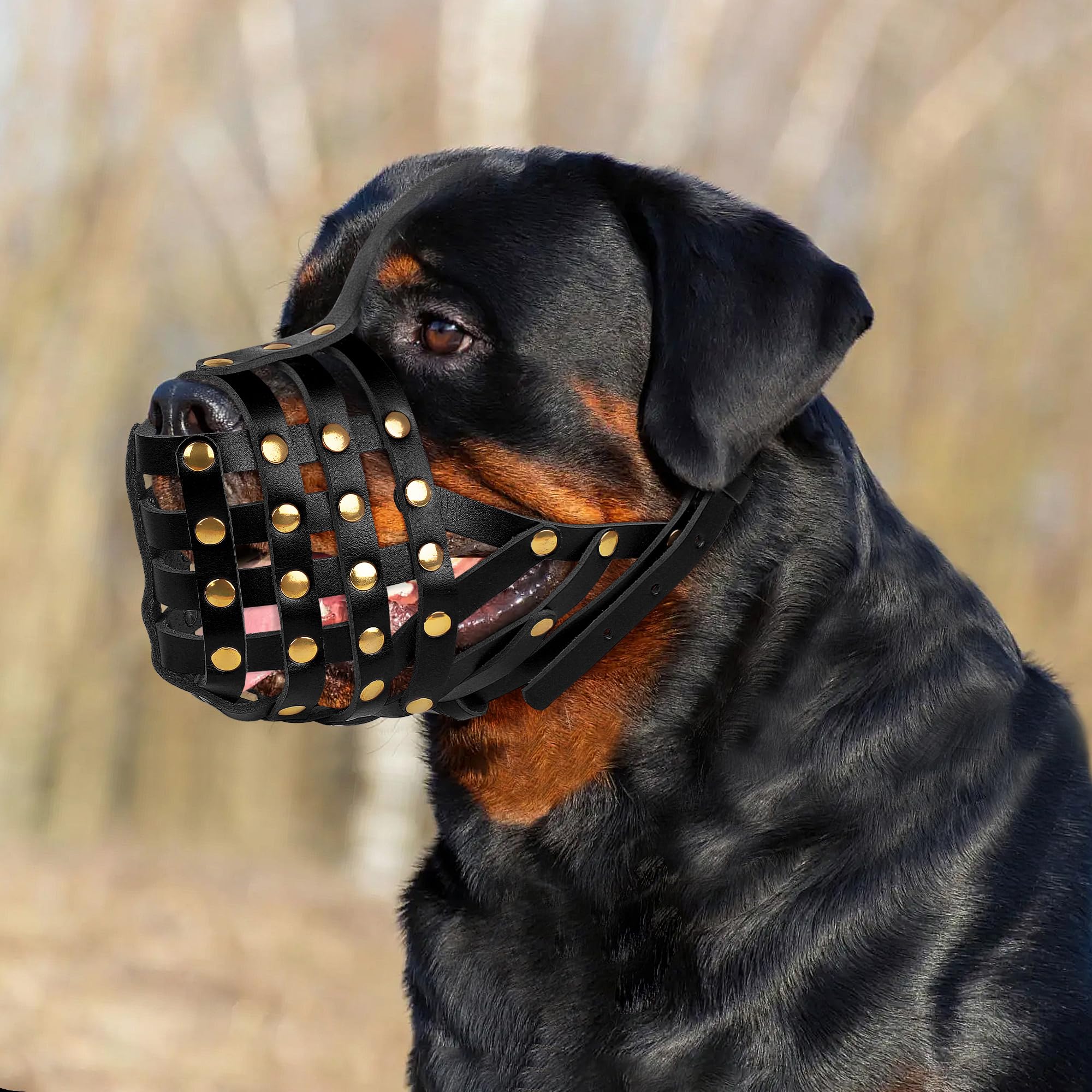 OOPSDOGGY Rottweiler Dog Muzzle for Large Dogs - Image 3