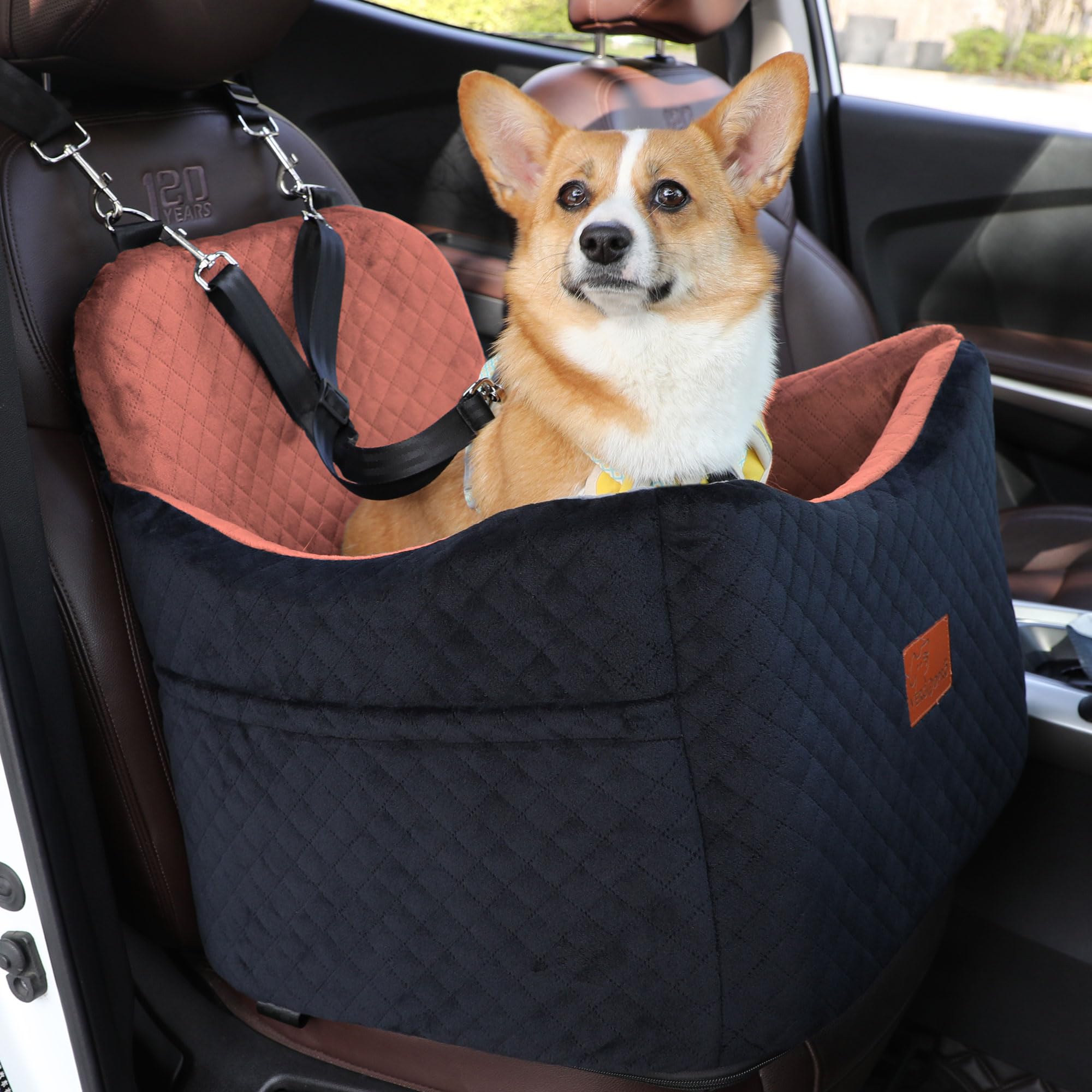 Dog Car Seat for Small/Medium Dogs,Pet Booster Seat with Harness,Memory Foam and Velvet,Safety Comfy Car Travel Pets Carrier,Interior Elevate,Washable